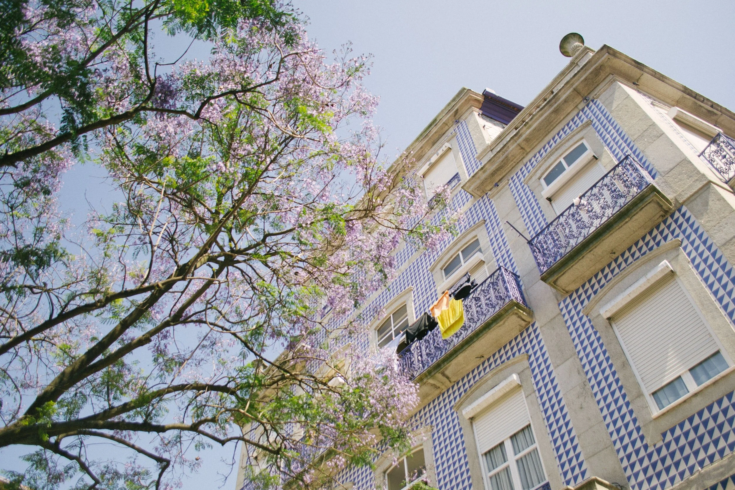 Prédio com fachada decorada com azulejos azuis e brancos, com varandas de ferro na varanda, janelas com persianas brancas, e uma árvore de flores roxas ao lado sob céu claro.
