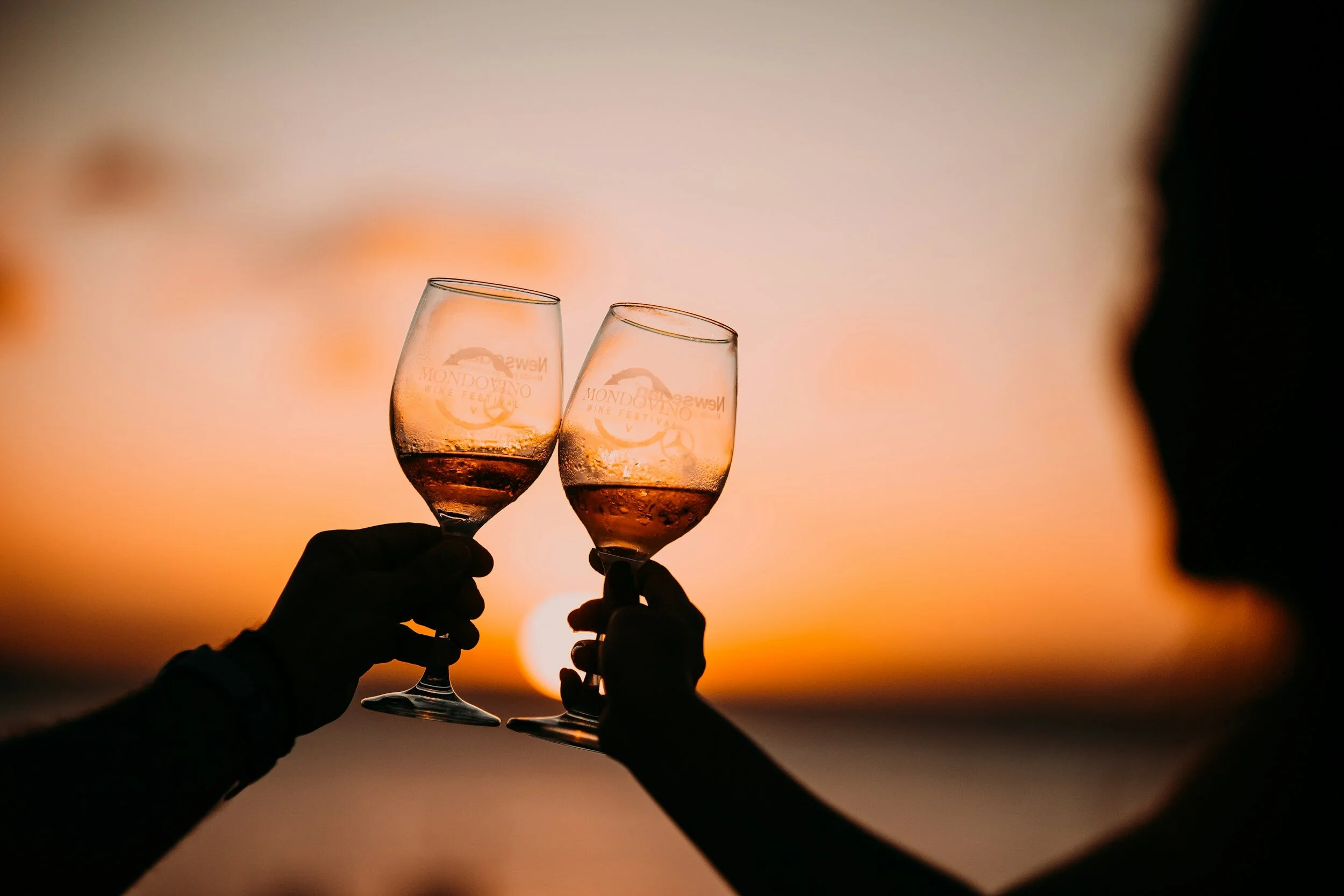 Duas mãos com copo de vinho na mão fazendo um brinde com o por do sol ao fundo