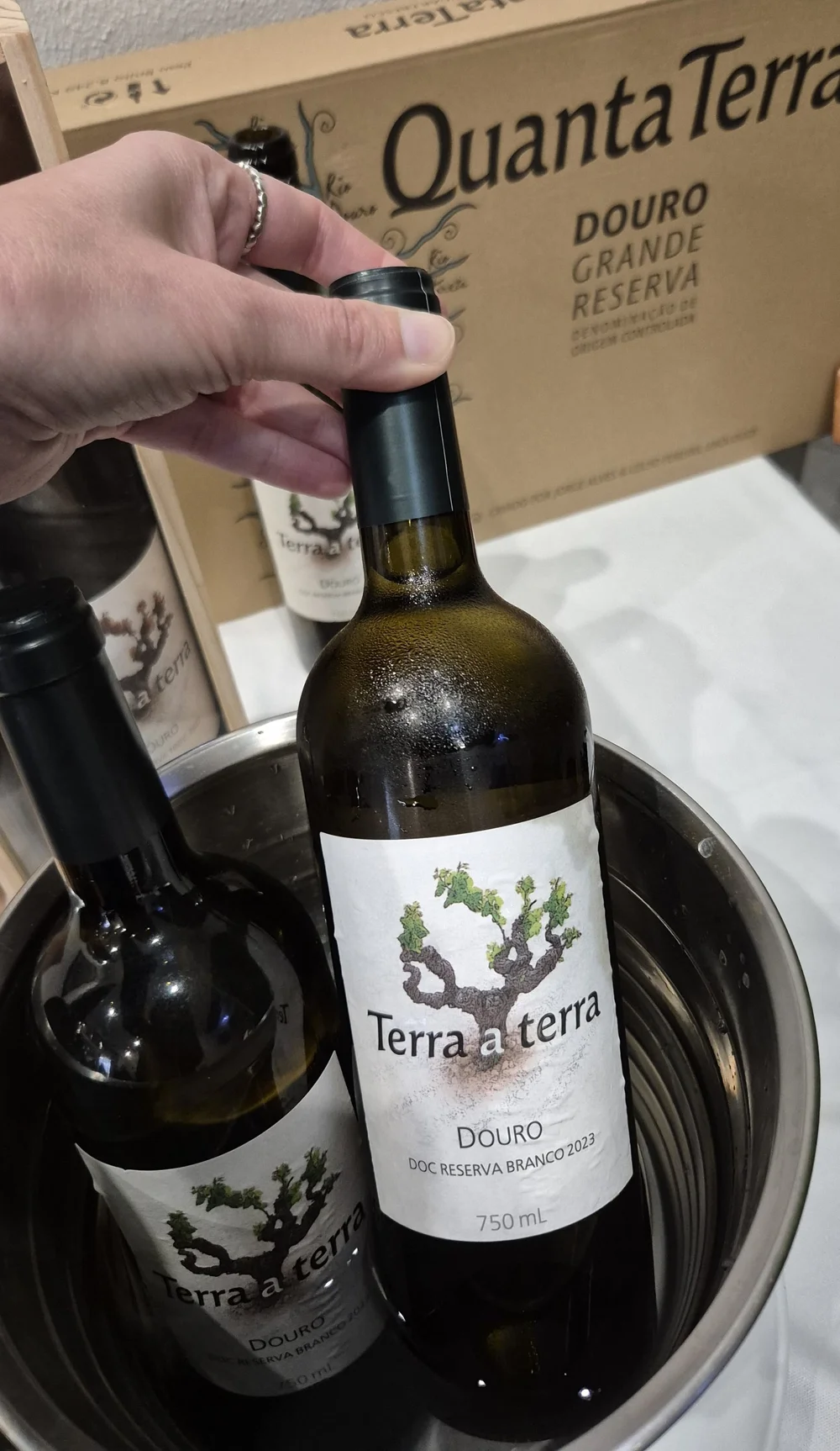 Quanta+Terra+-+vinho+Terra+a+Terra.jpg