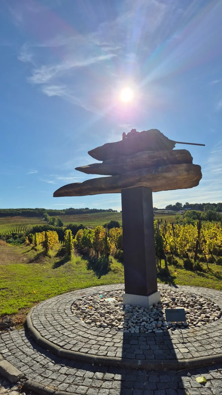 Quinta do Monte D’Oiro - um excelente enoturismo próximo a Lisboa