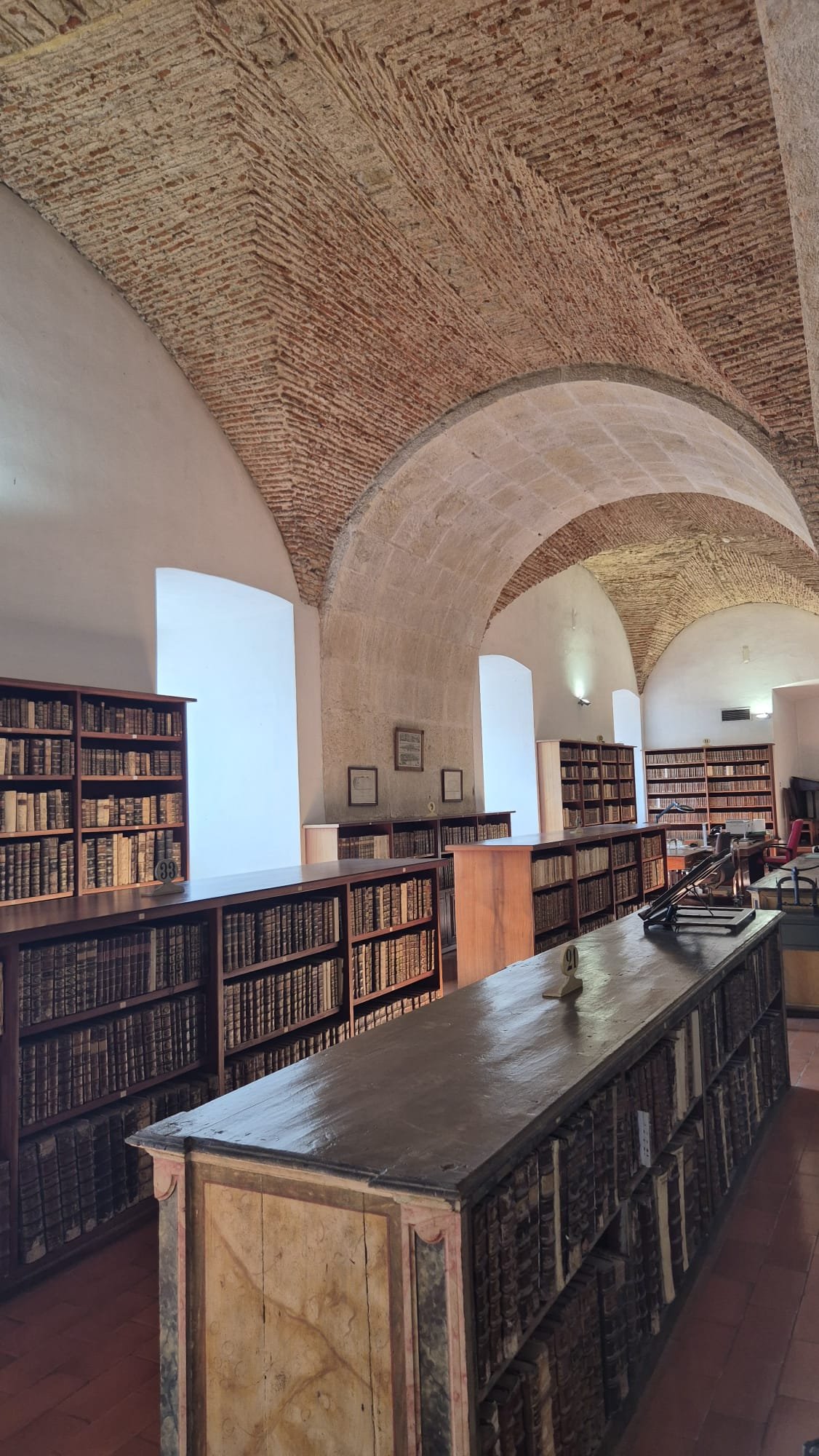 Coimbra - biblioteca Joanina interior.jpeg