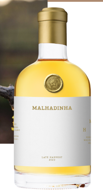 Rótulo - Malhadinha Nova.png