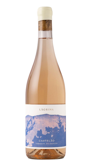 Rótulo - Tojo Lágrima.png