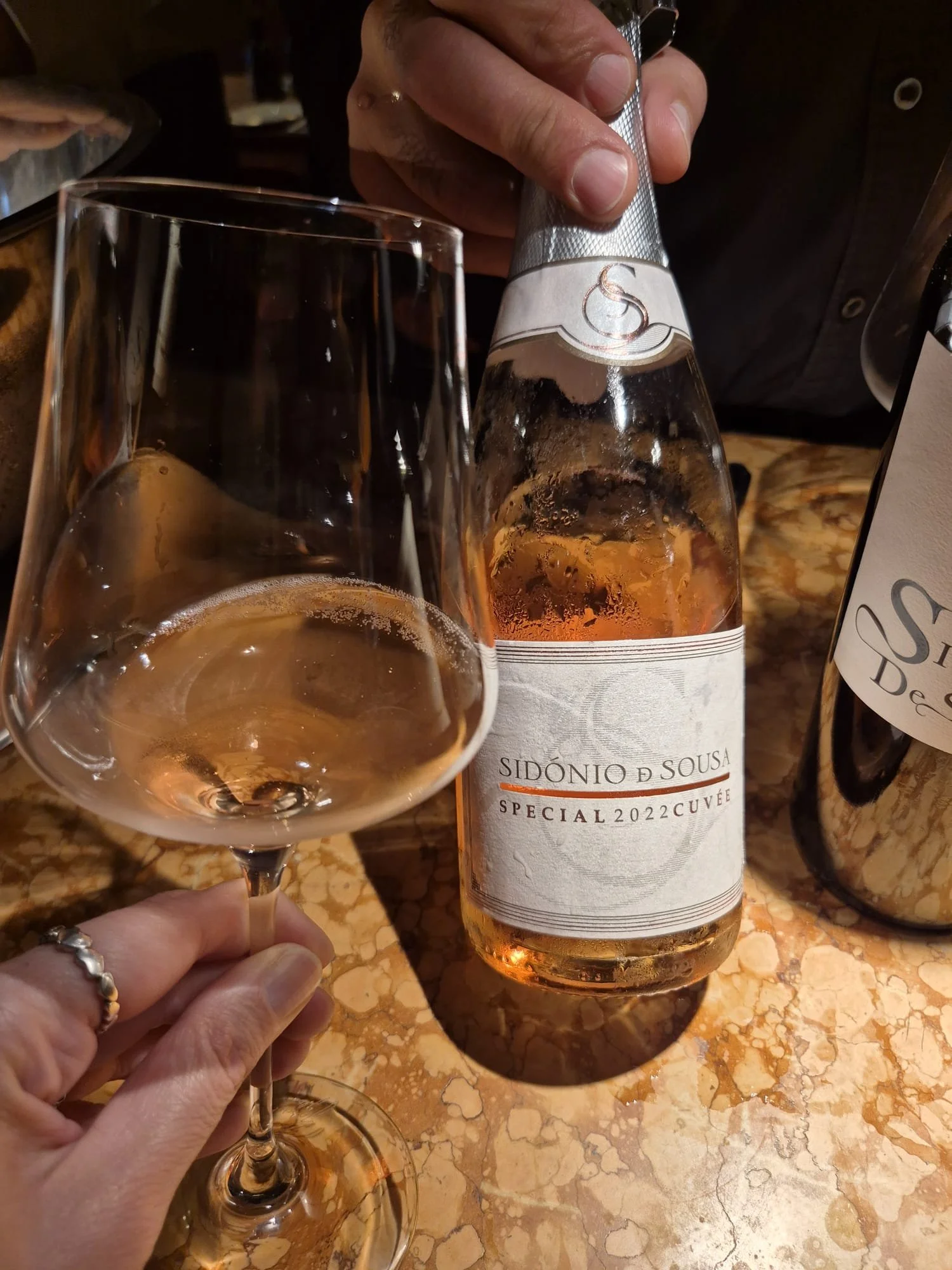 Vinho Bairrada Sidónio.jpeg