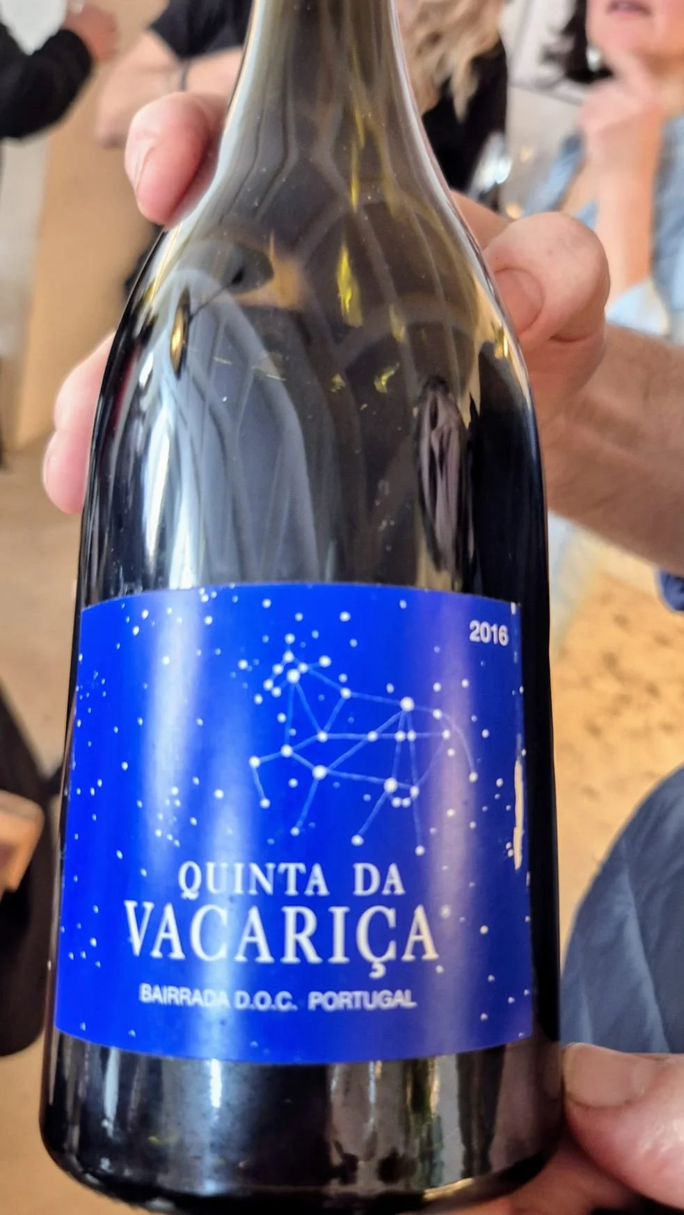 Vinho Bairrada Quinta da Vacariça.jpeg