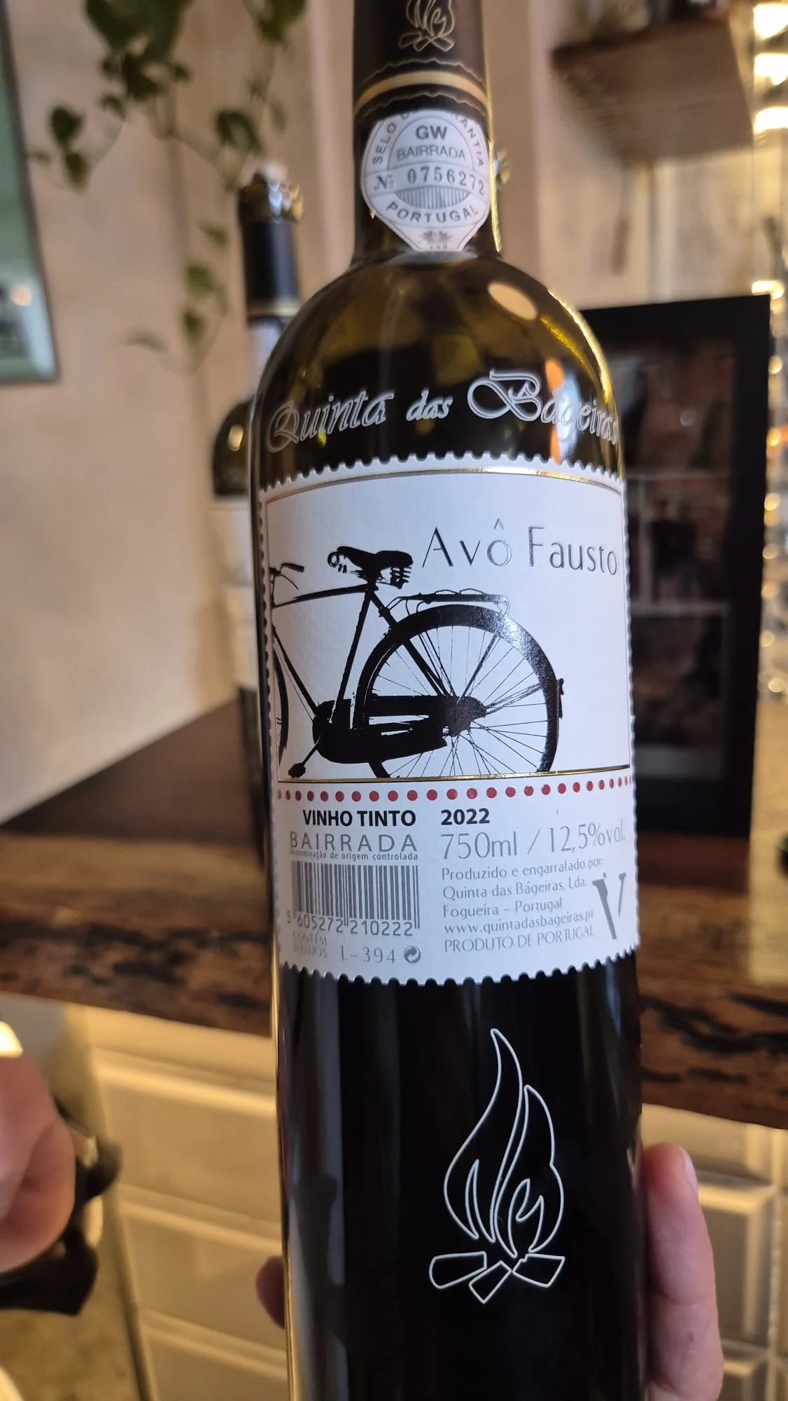 Vinho Bairrada Bageiras.jpeg