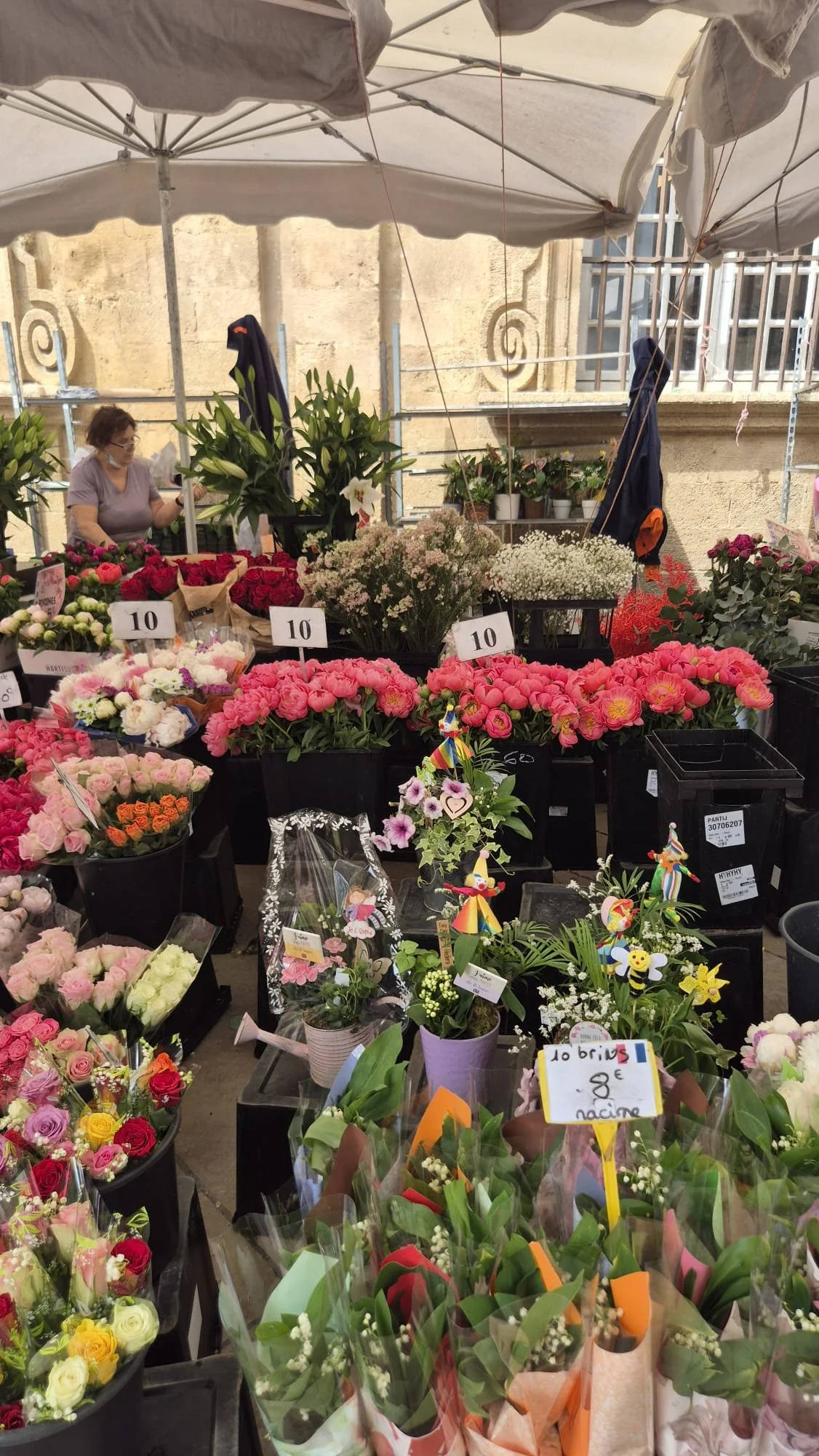 Aix - mercado flores praça.jpeg