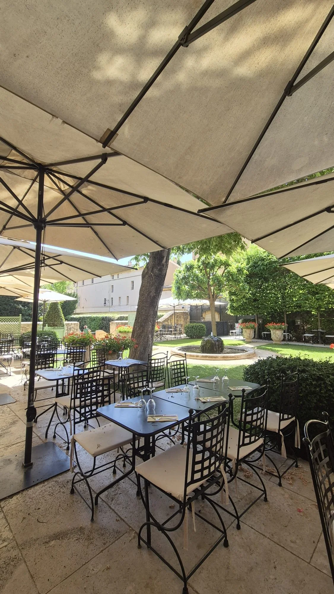 Aix - hotel du caumont - café jardim.jpeg