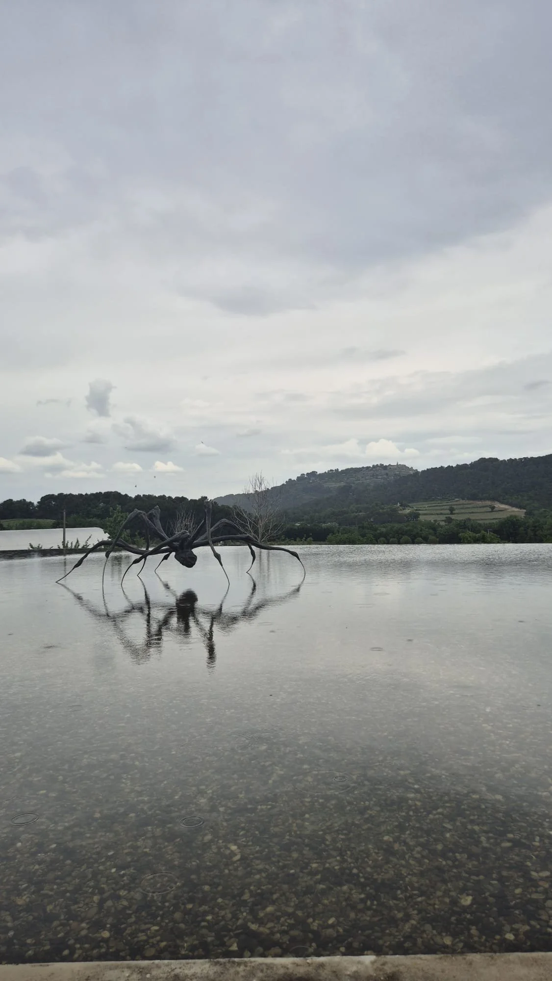 Vinhos Provence - França - escultura aranha chateaux la coste.jpeg