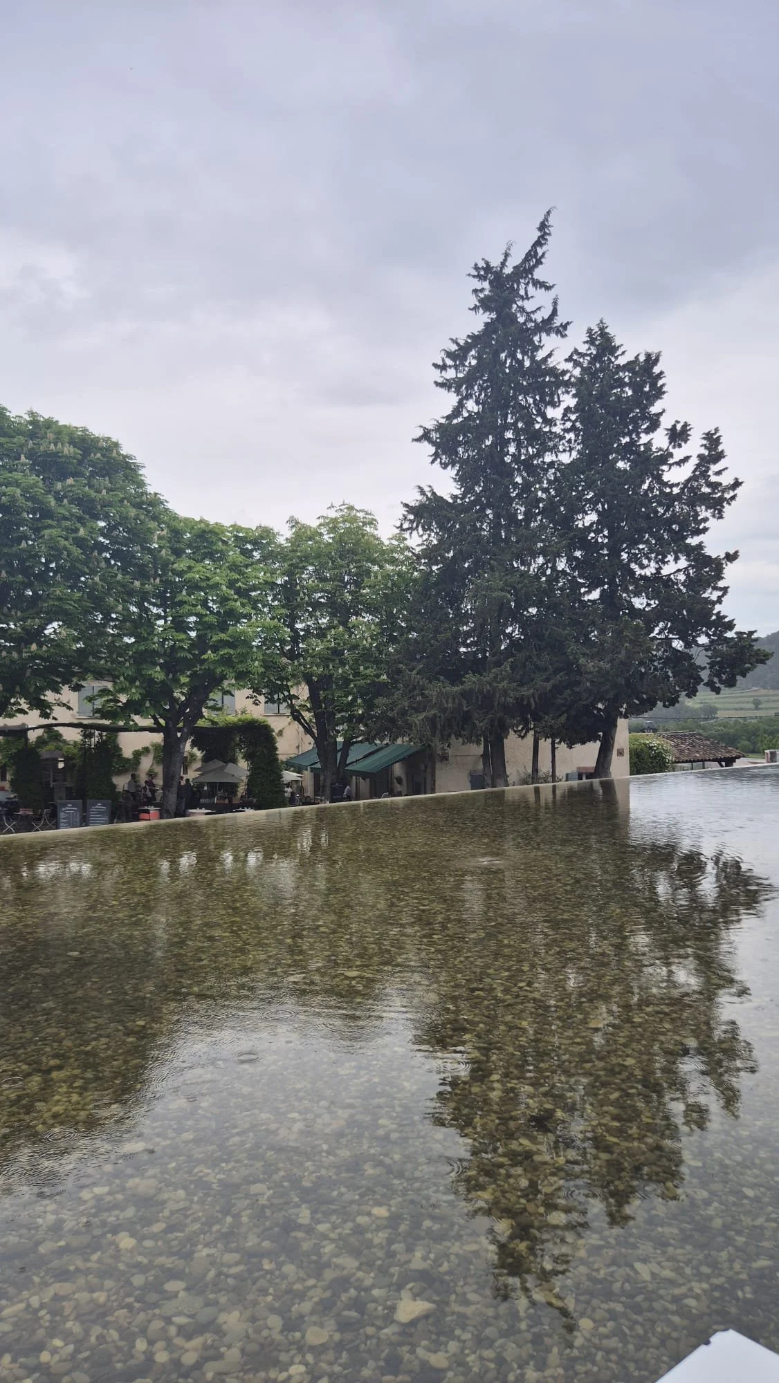 Vinhos Provence - França - espelho de água  chateaux la coste.jpeg