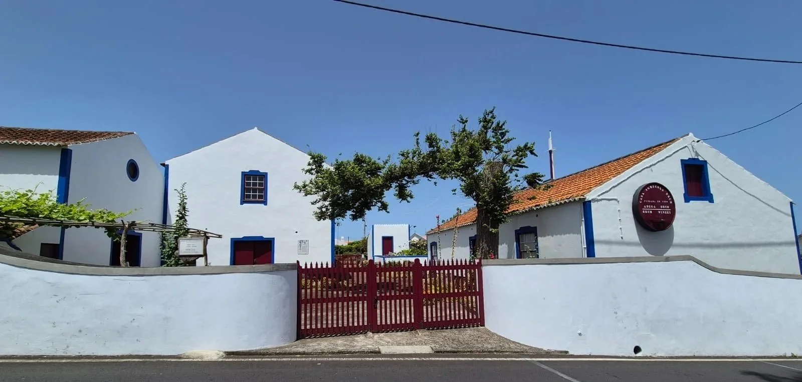Museu do Vinho dos Biscoitos e Casa Brum: o vinho vulcânico da Terceira
