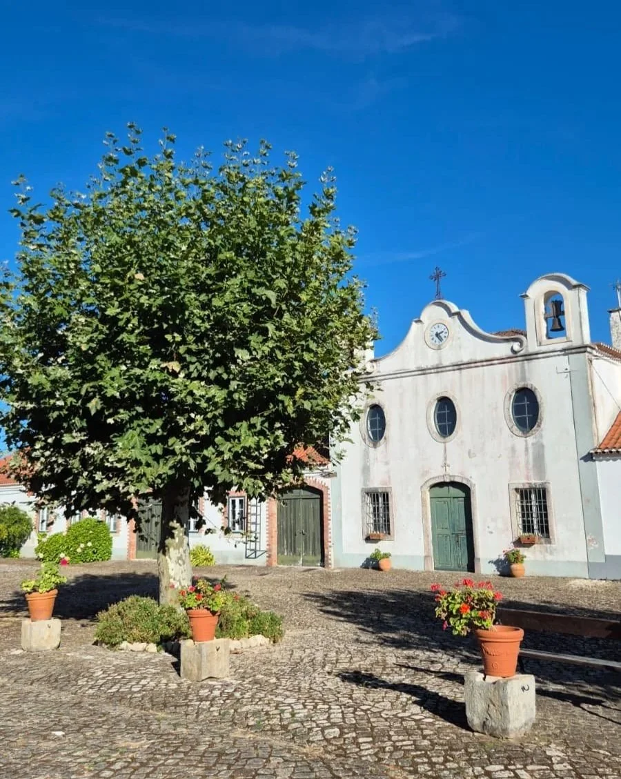 Espaço externo da Quinta do Monte D’Oiro onde há uma capela e também árvore