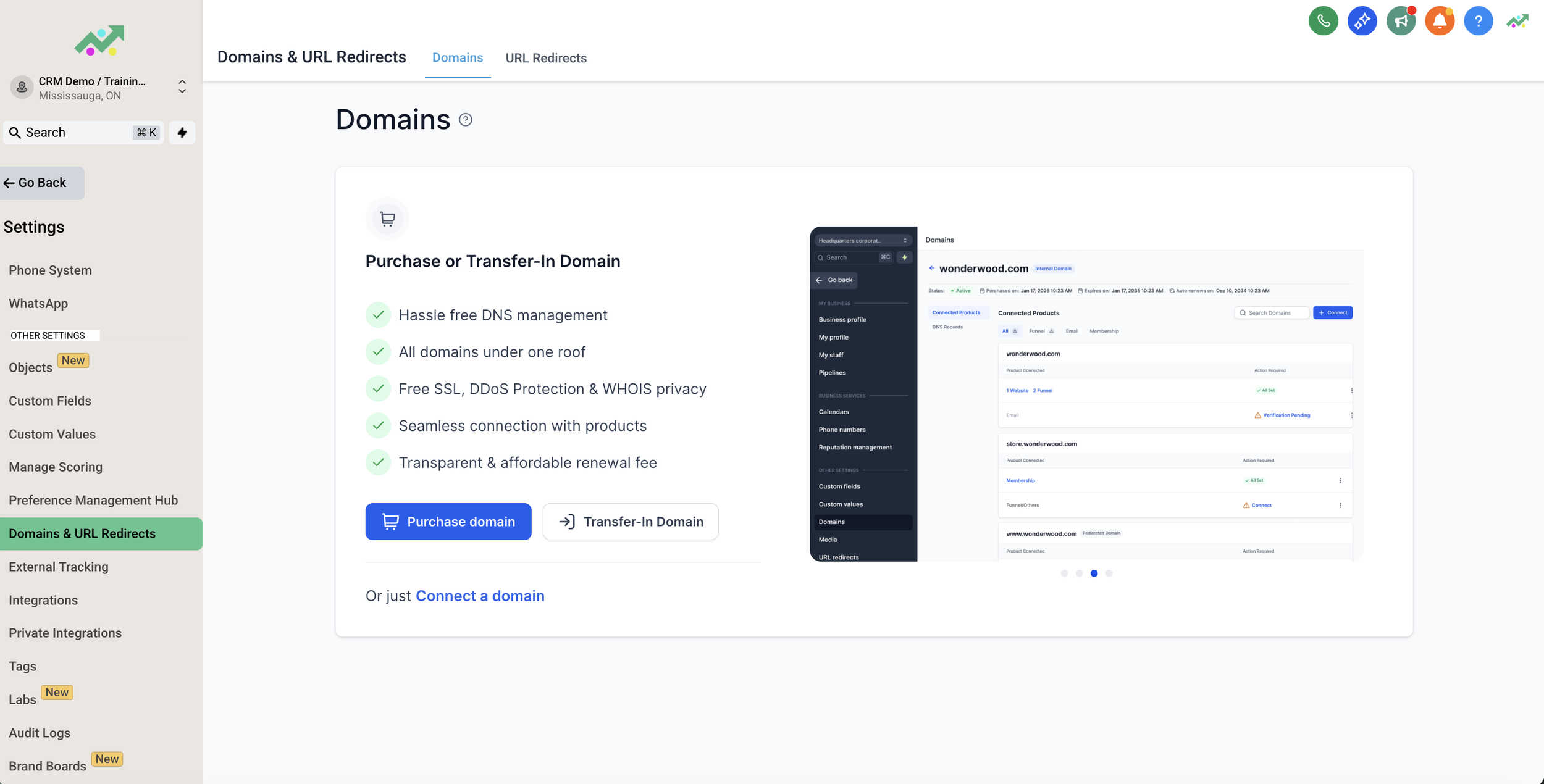 How to Purchase a Domain on Scale Selling CRM