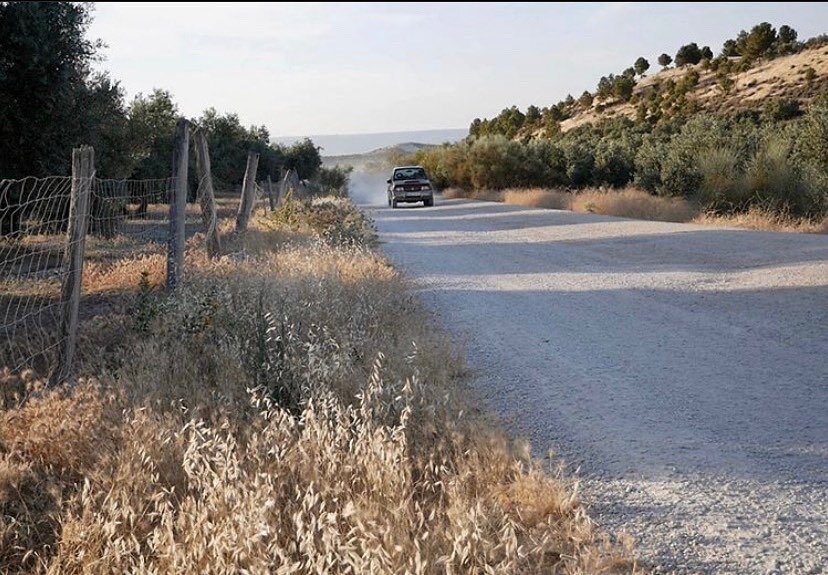 Checking on the olives