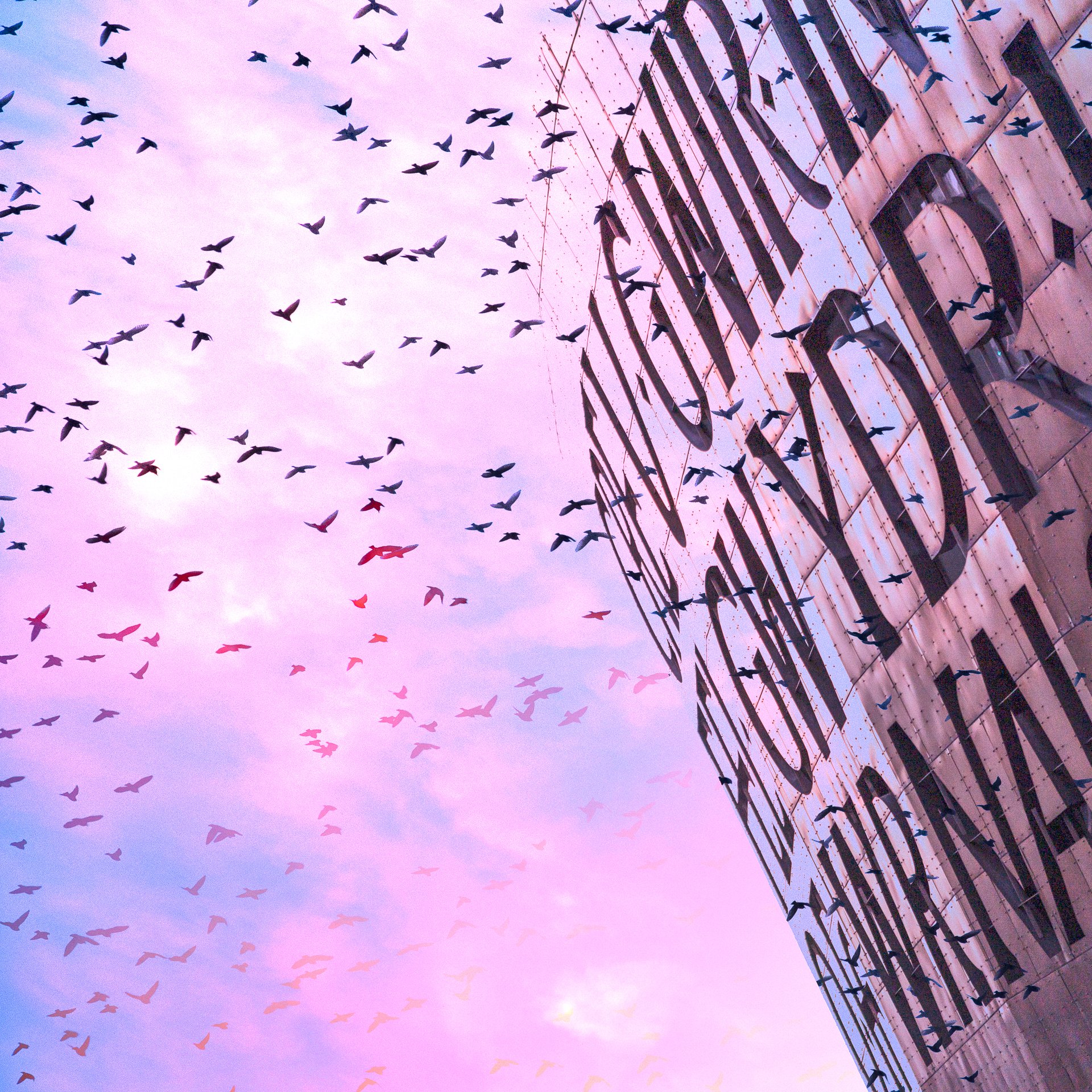 Cardiff Opera House - Reimagined