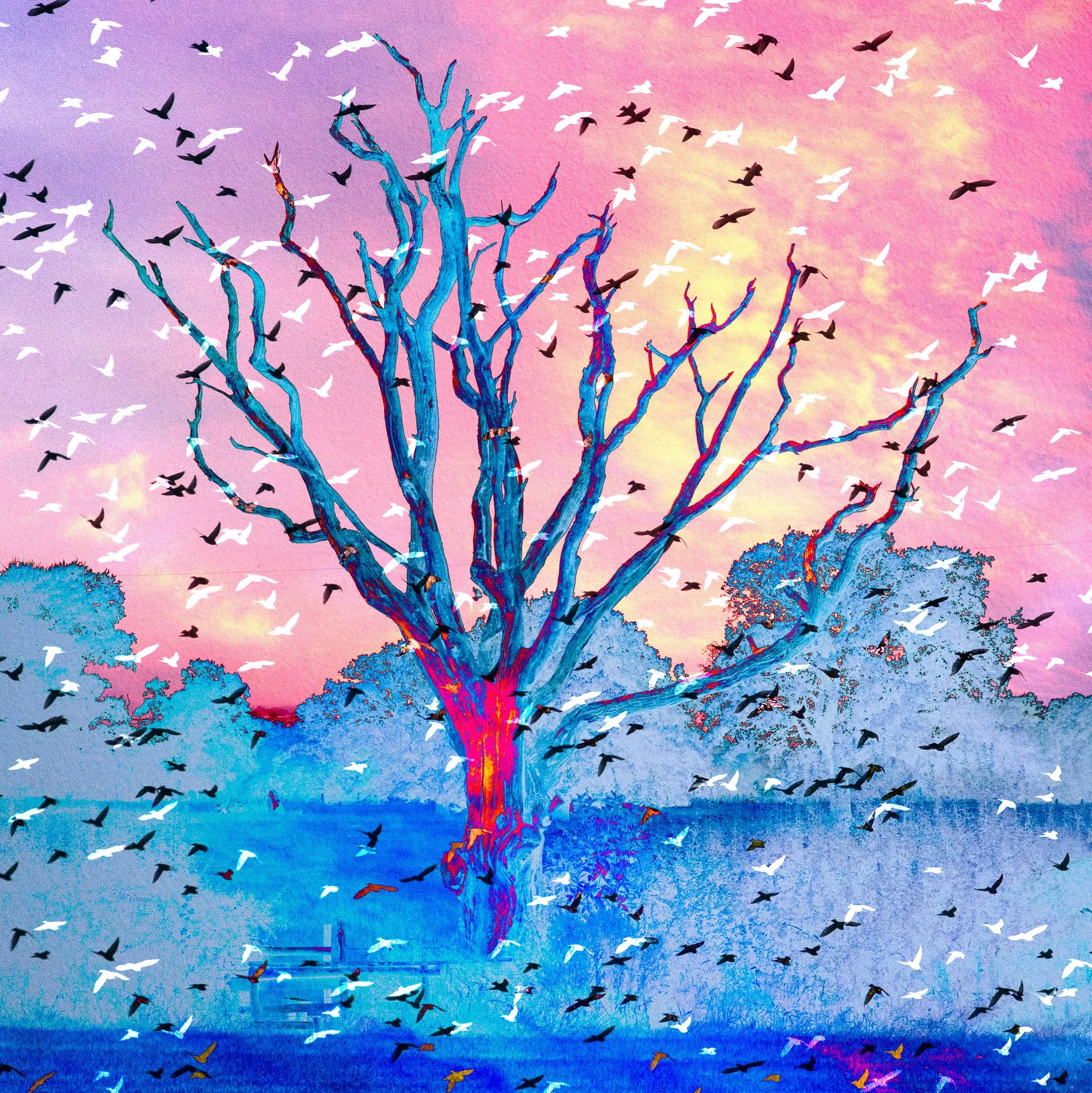 How to: use Multiple Exposure with TREES as a subject (part 2)