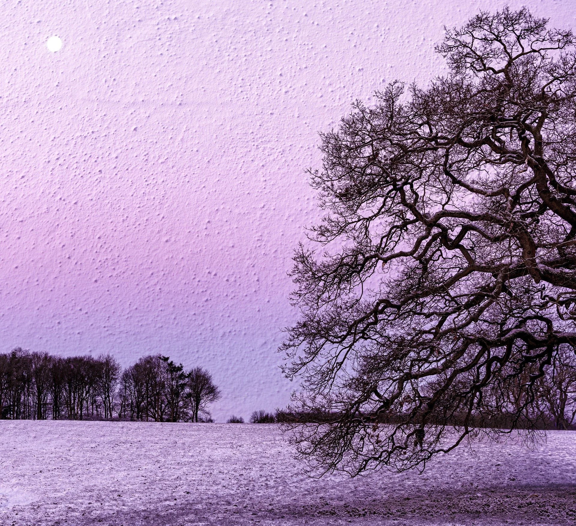 A mellow image for a Sunday.  I hope that you can relax with this image in mind, it was a beautiful snowy sunrise.  This is one of those times that I reined myself in and made a subtle ME.  I know! Very unusual but the serenity of this particular sce