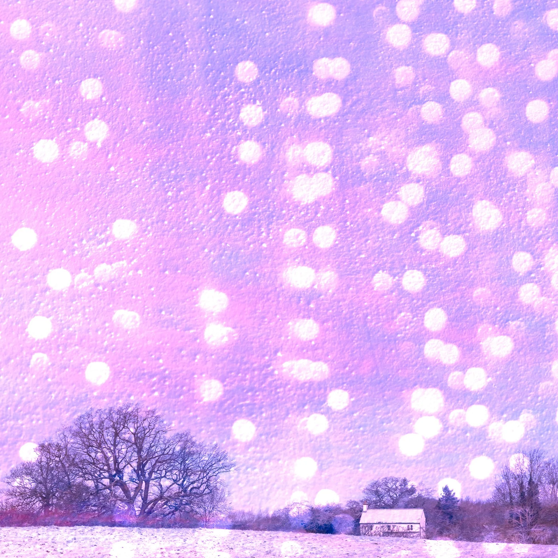 Multiple Exposure is great in the snow! If you are anywhere in the UK the snow will probably have disappeared from your back garden by now so this is giving you a pretty reminder rather than just remembering the annoying slush!! I did enjoy the snow 
