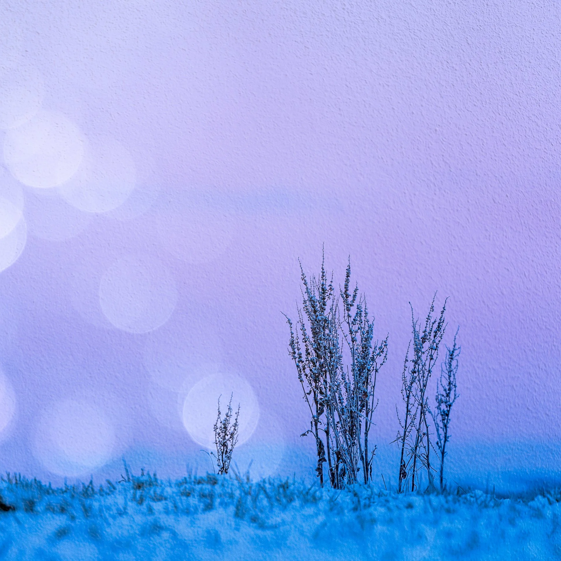 Multiple Exposure brings out the colours of a winters day I think.  Well it brings out the ones in my head anyway!! That's the nicest thing about ME, that freedom to create what is in your head.  This was taken from a chilly low angle - thank goodnes