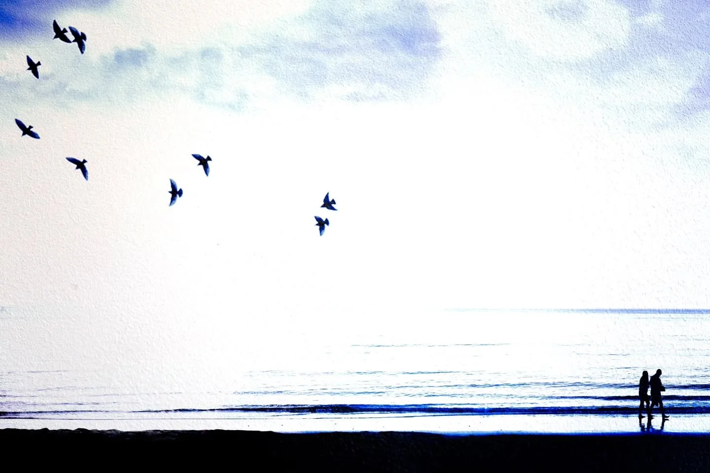 Multiple Exposure made in Photoshop 📸

This was for a series of peaceful images I made all out of camera.  Sometimes the British weather is such that this is the most pleasant way to play! And I do love getting lost in an image! I'm going to break t