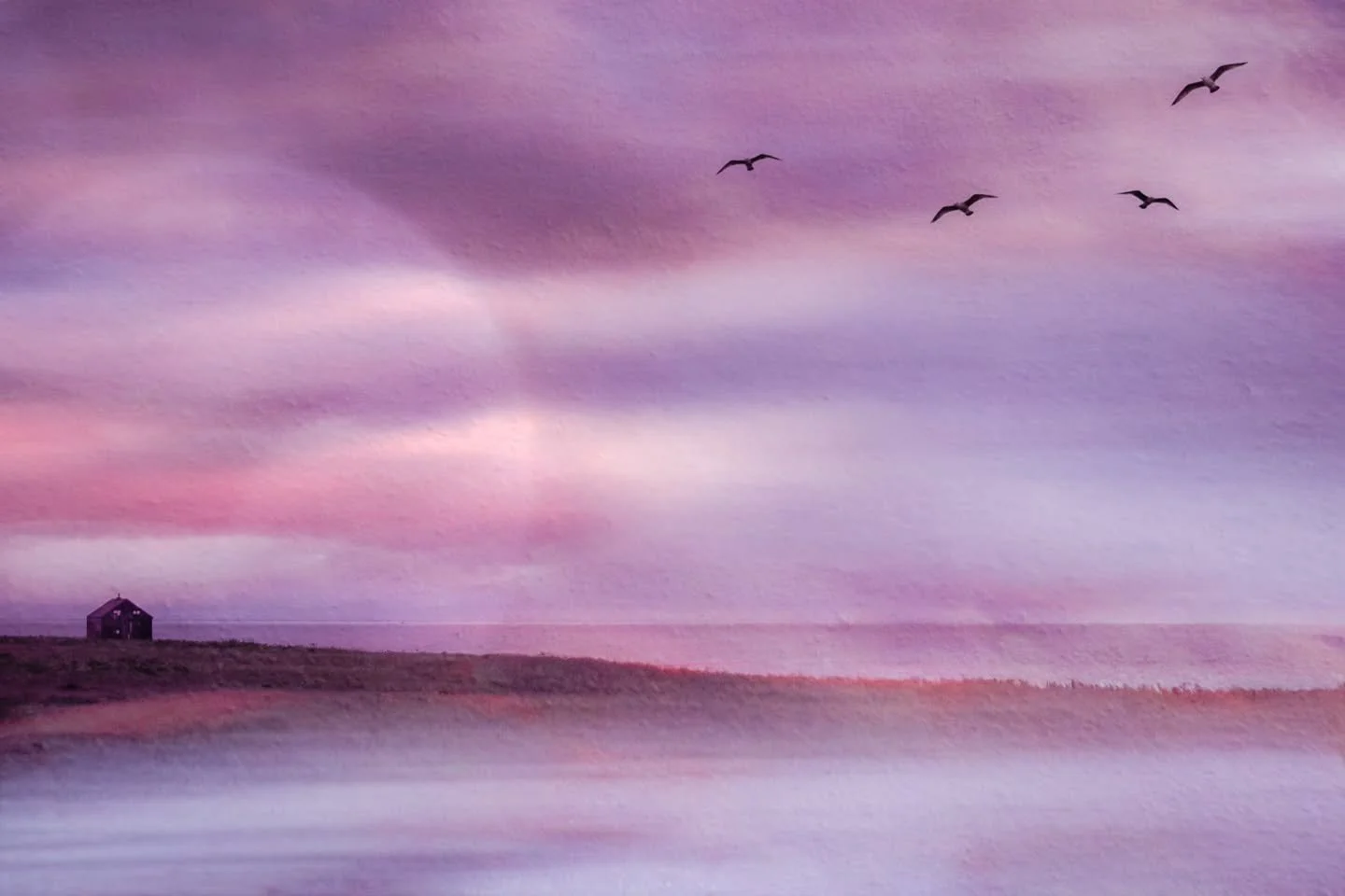 Multiple Exposure made in photoshop 📸

I am staying with my calm pictures for this week and I love the fact that in photoshop I can transform a bleak and very rainy day with a little hut into something that is rather beautiful and pink! Does this ma