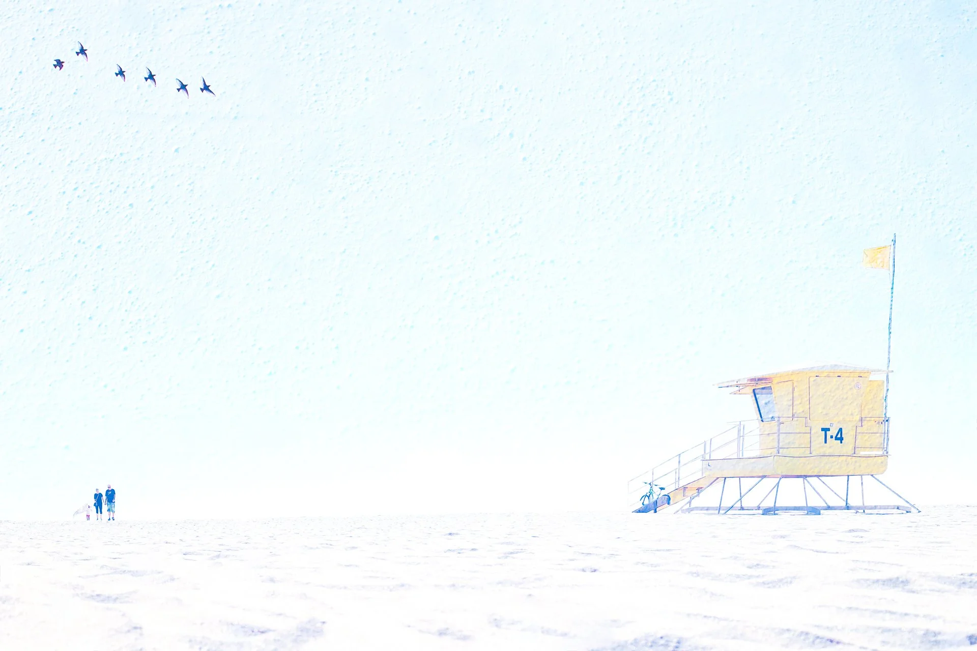 I thought I would go in a bit of a different direction this Monday - a whole lot of tiny subjects! I thought it might inspire some #Mondaymotivation to try something new.  Sometimes it is so easy to get stuck in a rut and it's important, particularly