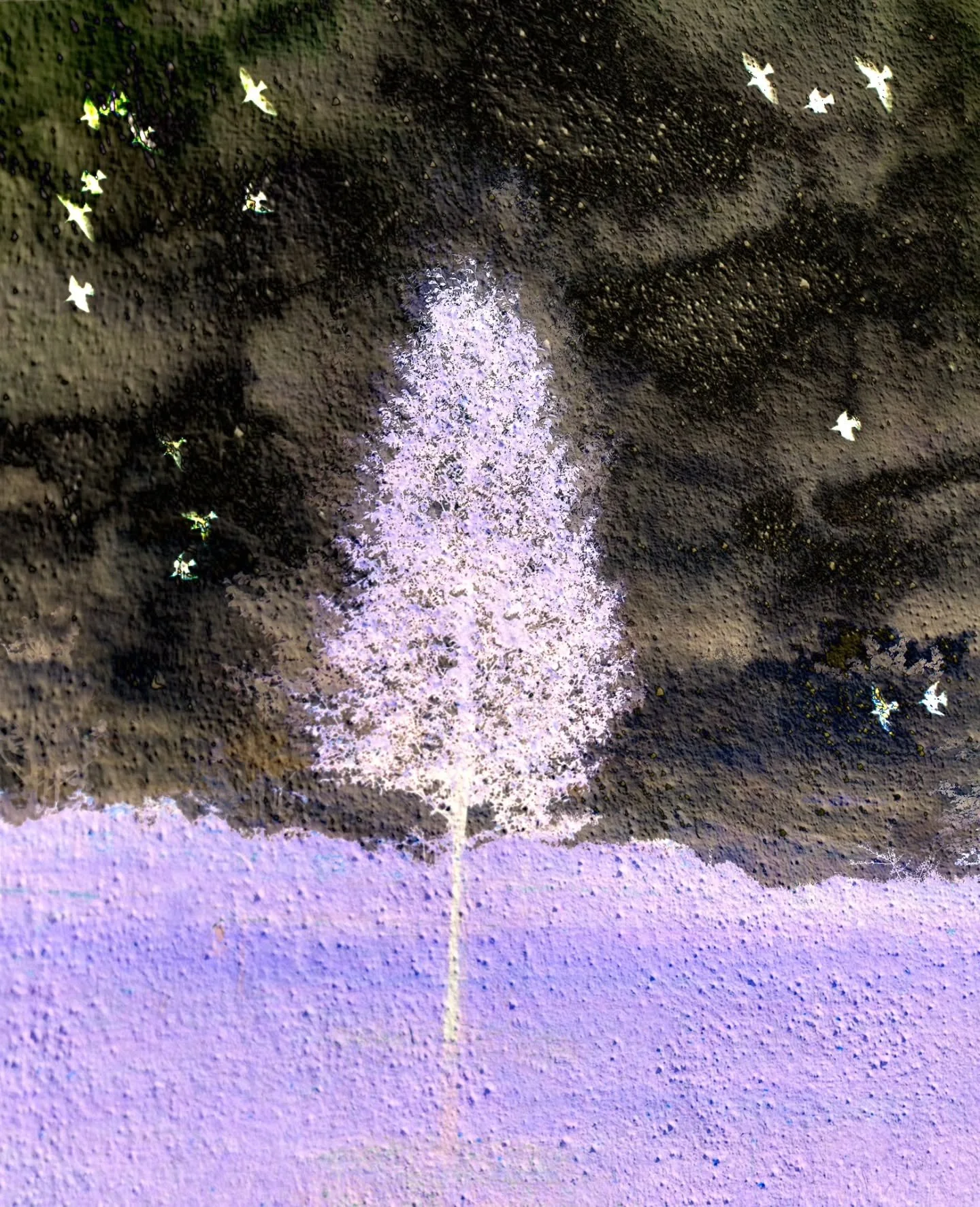 Multiple Exposure in Photoshop 📸

I wanted to do a series about this tree as when I was demonstrating layers using it I created yet another version I really liked! So this weekend here are 4 iterations all using the same impressionnistic tree!

Blur