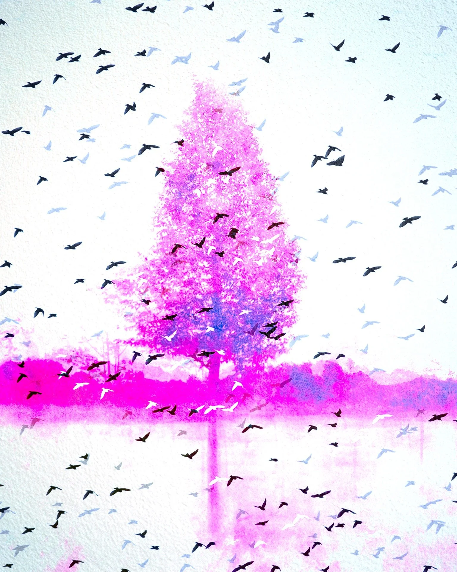 Multiple exposure in photoshop 📸

So here is my second iteration of this particularly fine tree (I have included the original tree if you swipe!) Obviously turning it pink and adding some birds was what it needed! I really love the fact that with mu