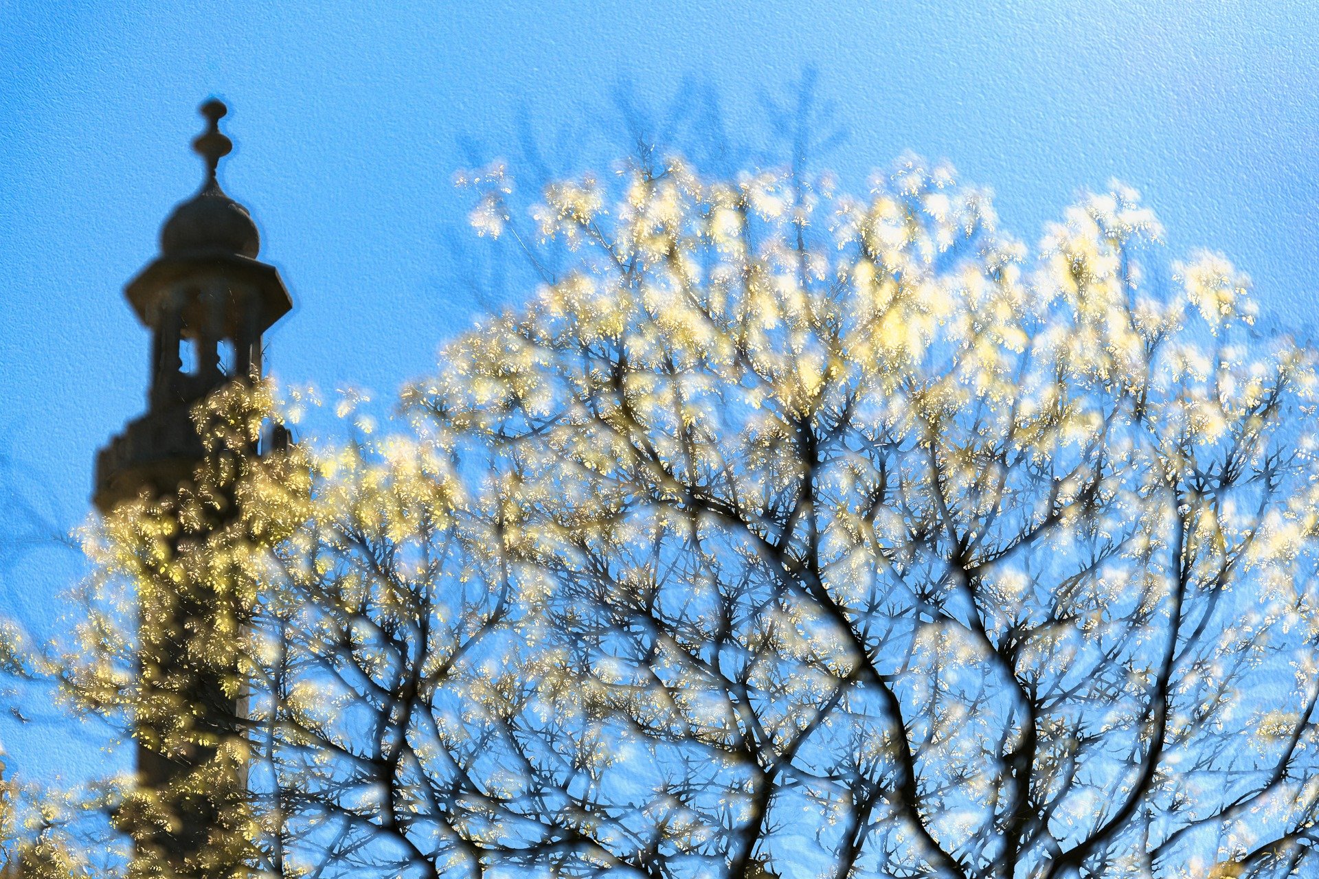 In camera Multiple Exposure with a texture in post processing 📸

Not your usual Brighton Pavilion image but I really liked the way that Light Mode made the leaves sparkle! This is one of the towers of the Pavilion, but clearly this is about that tre
