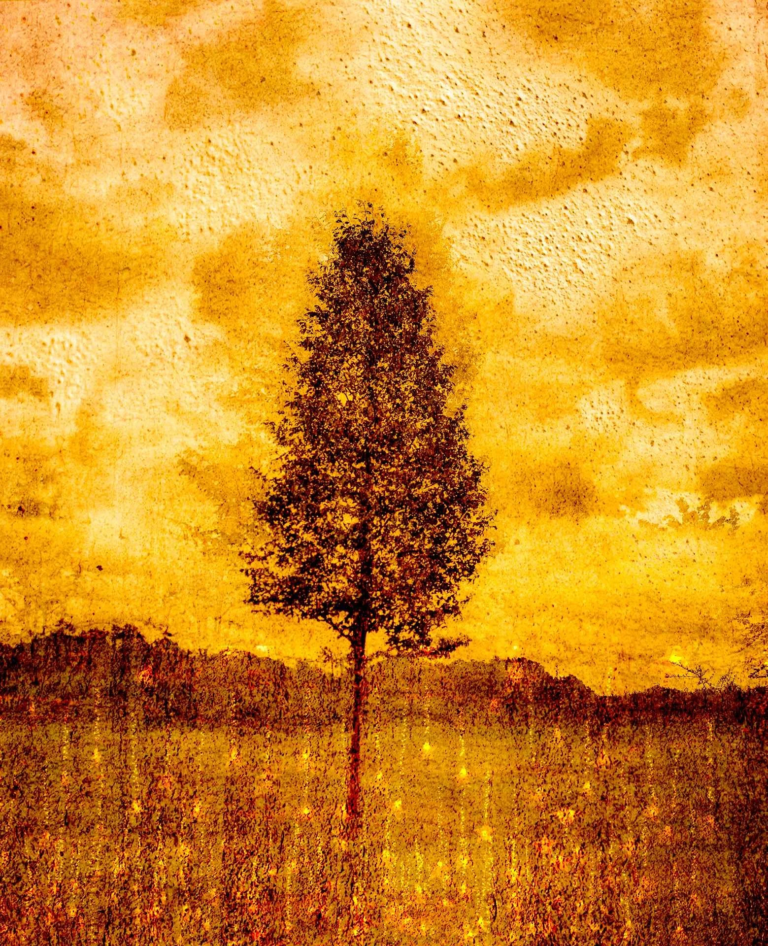 How to change the Mood in Multiple Exposure Photography