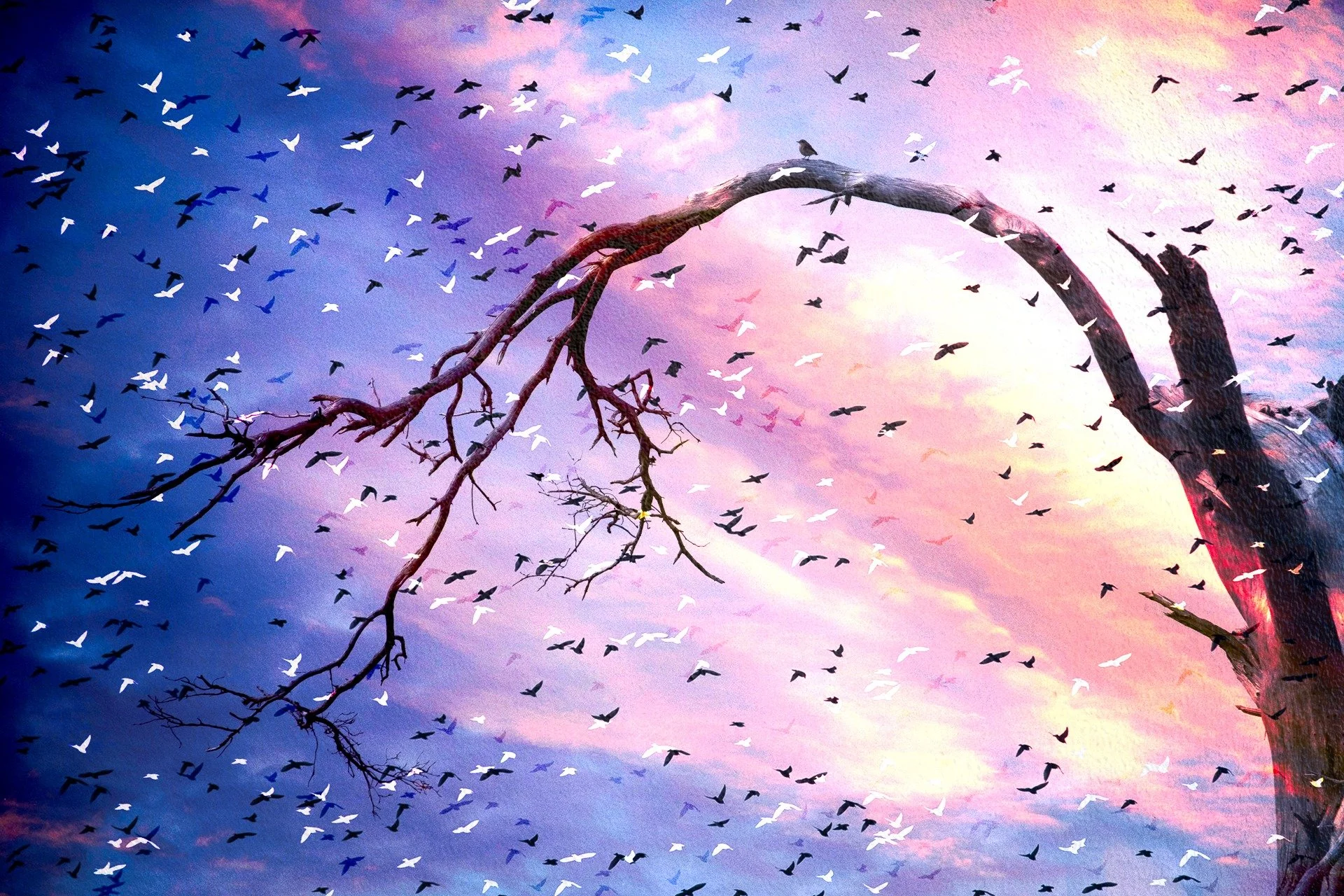 Multiple Exposure made in post processing 📸

Can you spot the little bird on the branch? I didn't until I started editing what to begin with was a fairly ordinary picture of a tree on a grey day.  I gave it some colour and then the chaos of the bird