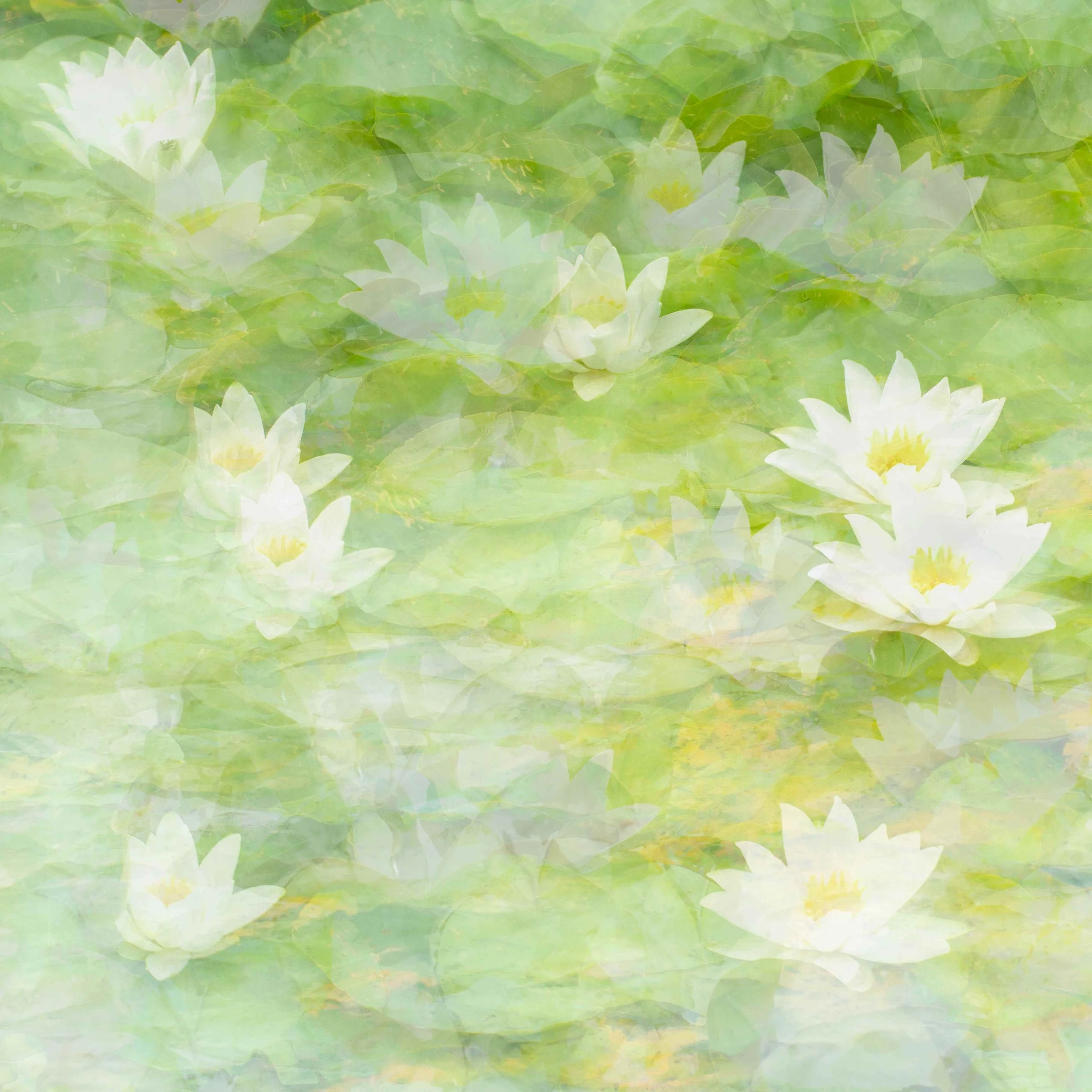 Inspired by the Artists: Finding Your Own Voice Through Creativity