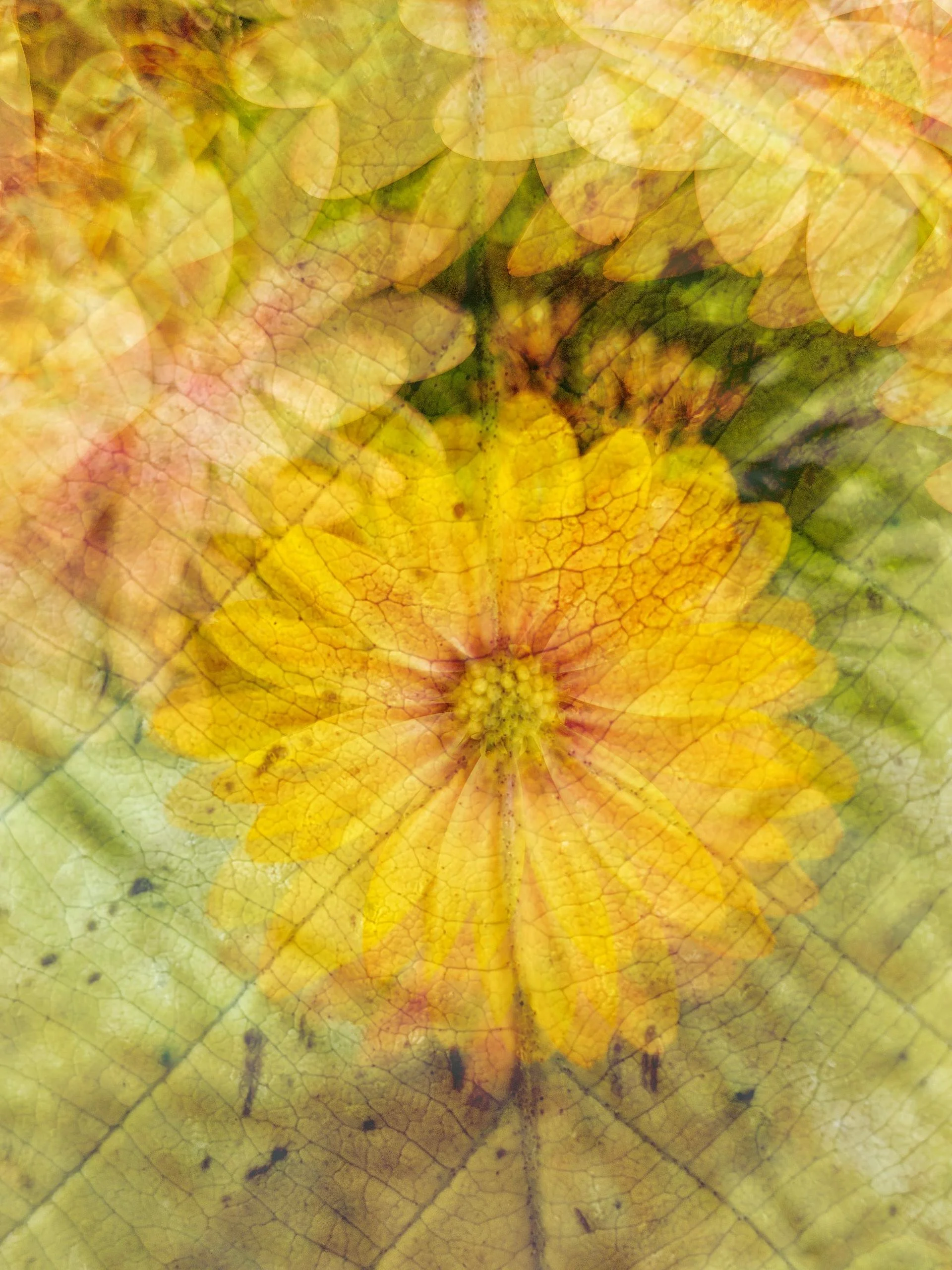 How to: Use a Colour Walk to Inspire Your Multiple Exposure Photography