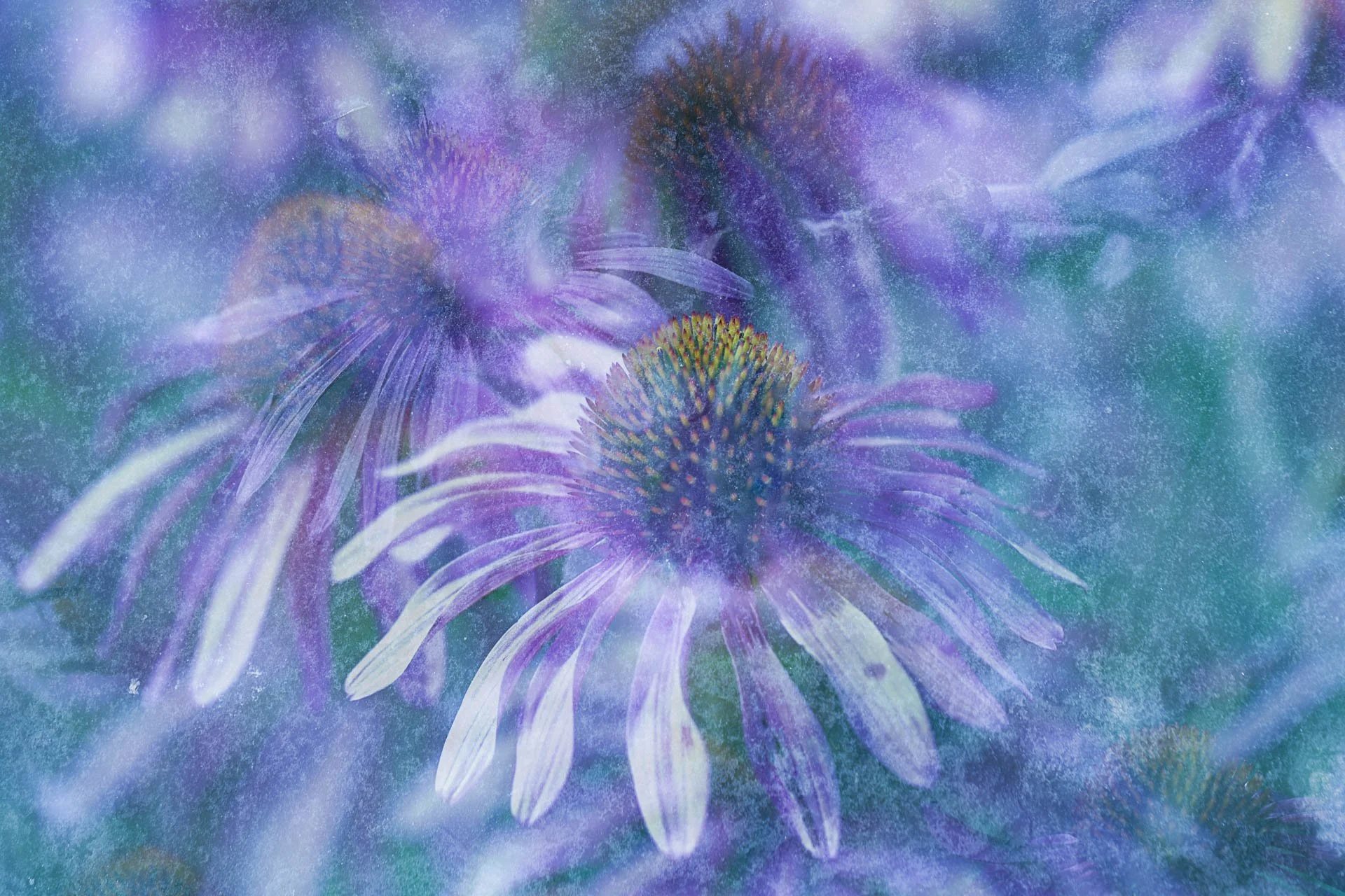 How to Use Textures in In-Camera Multiple Exposure Photography