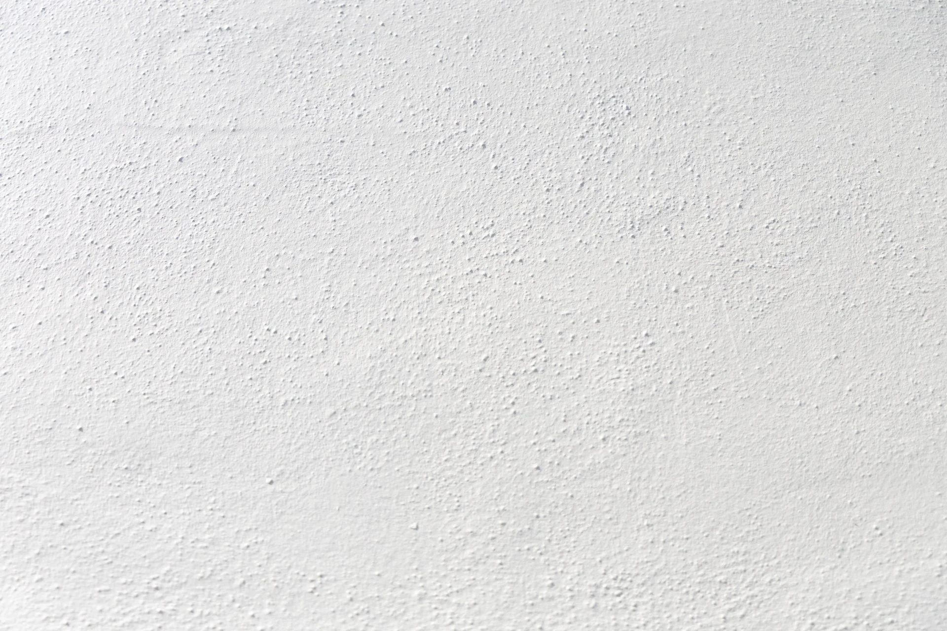 3C1A1455.jpg