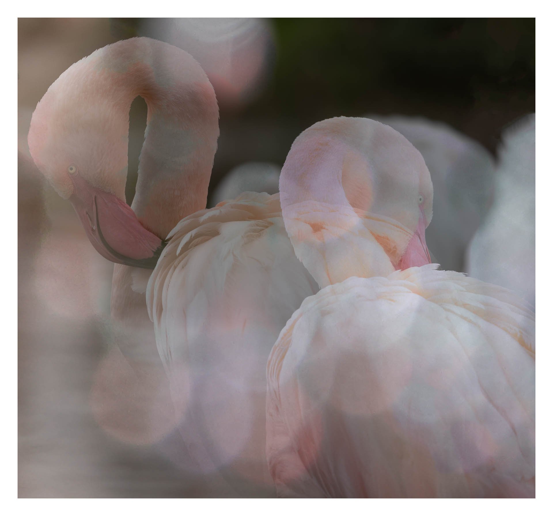 J3J9A0288-Edit-Edit-Edit-Edit.jpg