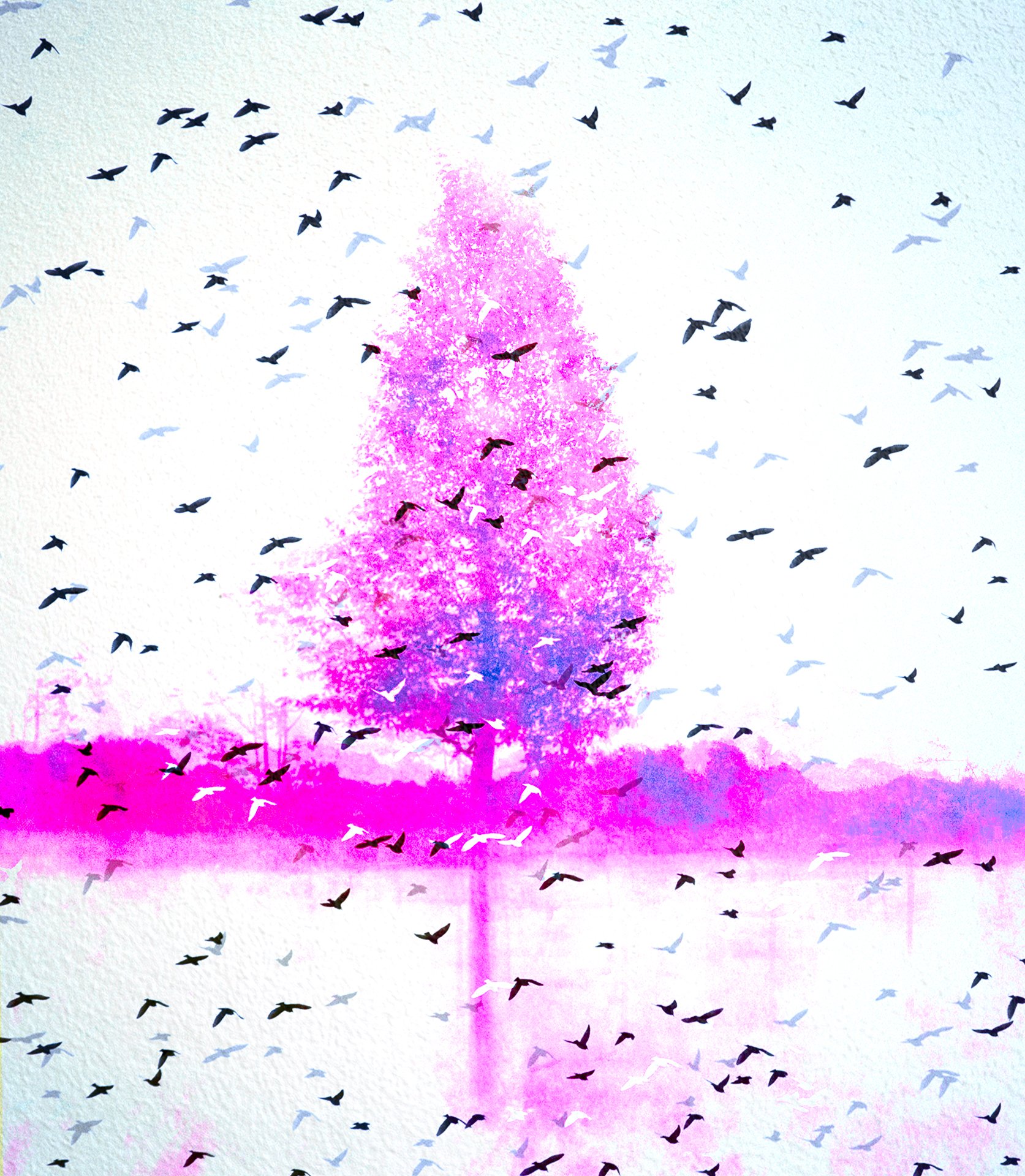 Bridgewater Tree - Reimagined
