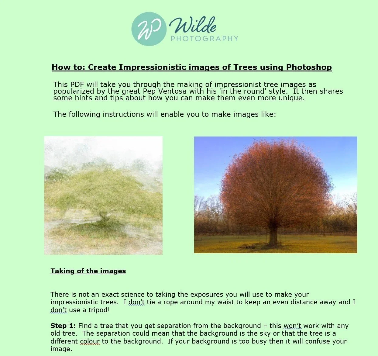 How to create Impressionistic Tree Images PDF £8