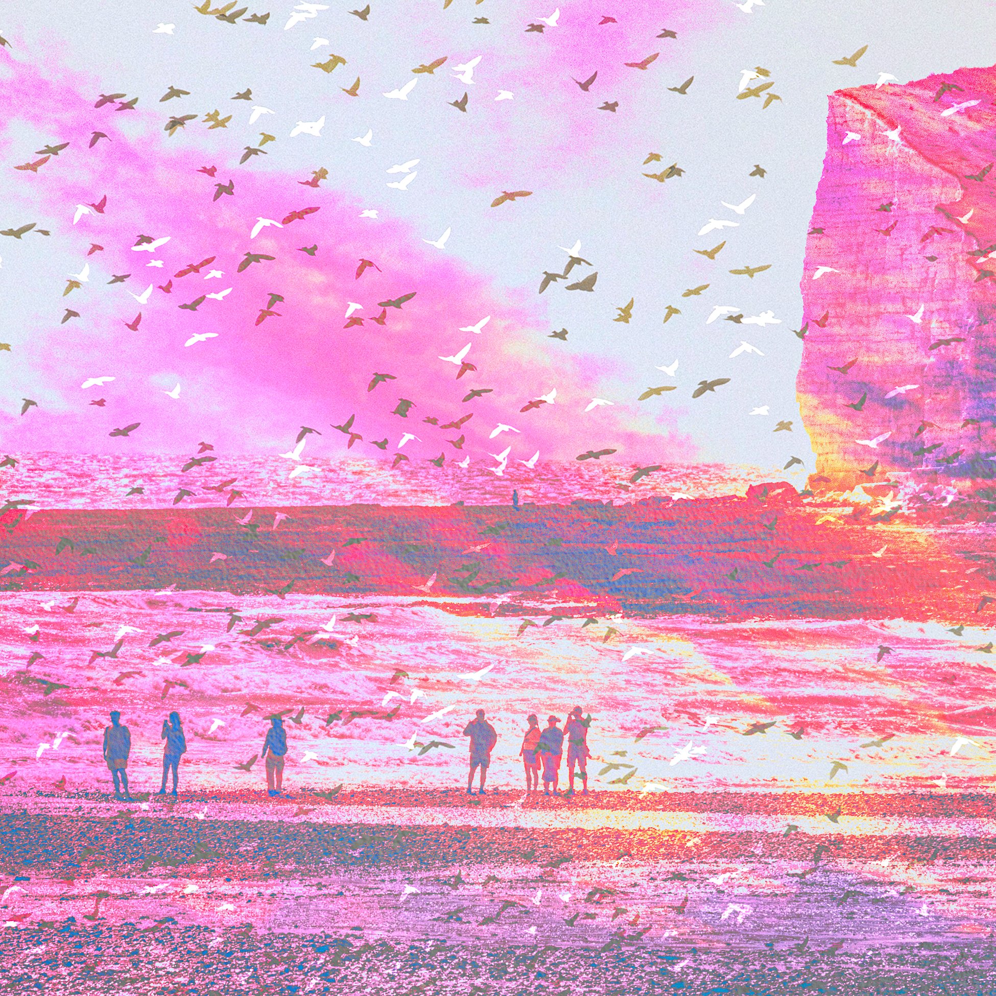 South Coast - reimagined