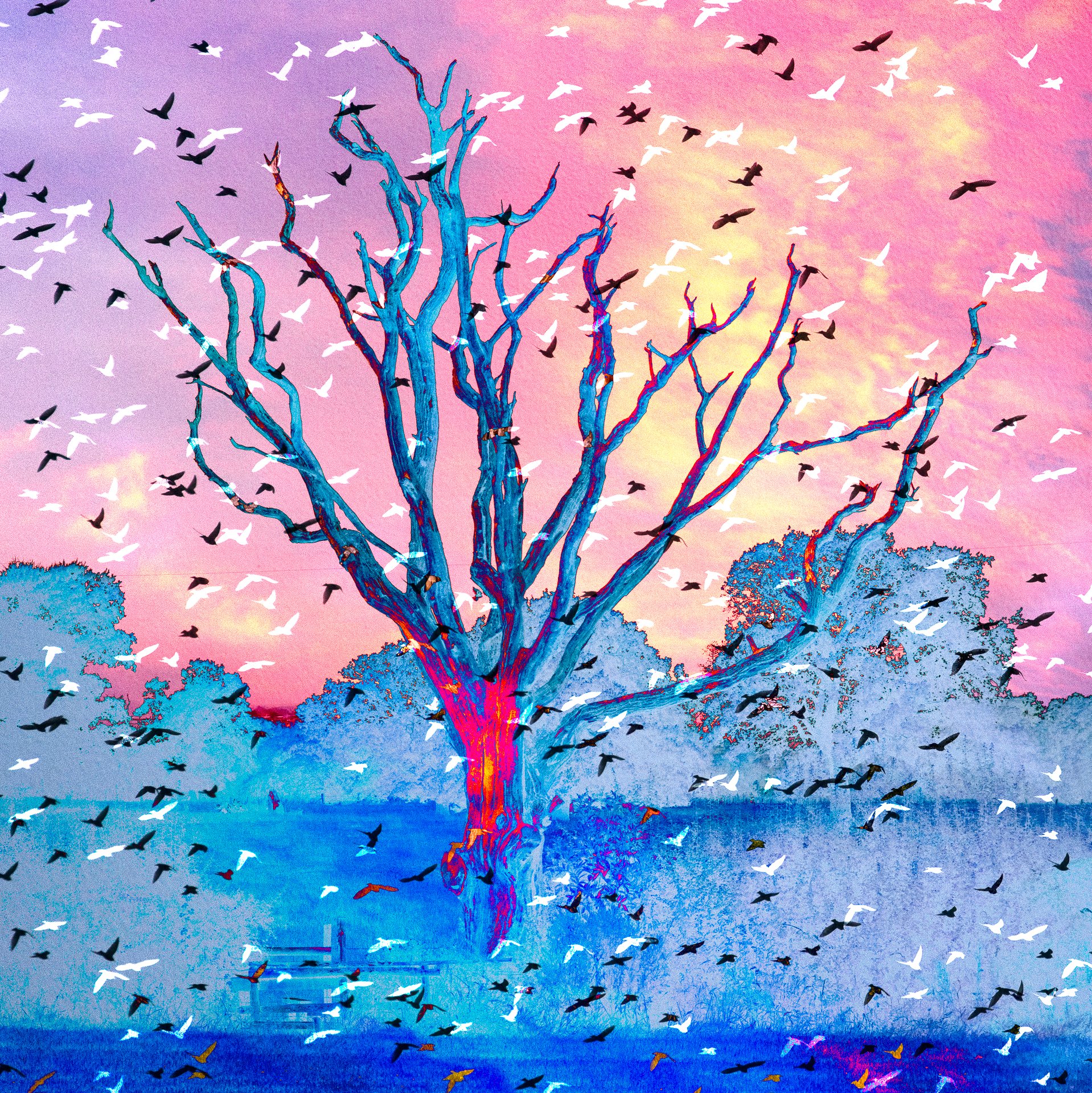 Shropshire Field - Reimagined