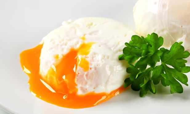 Egg