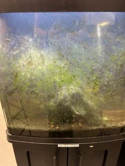 Figure 15: Freshwater Bio-cube After Summer