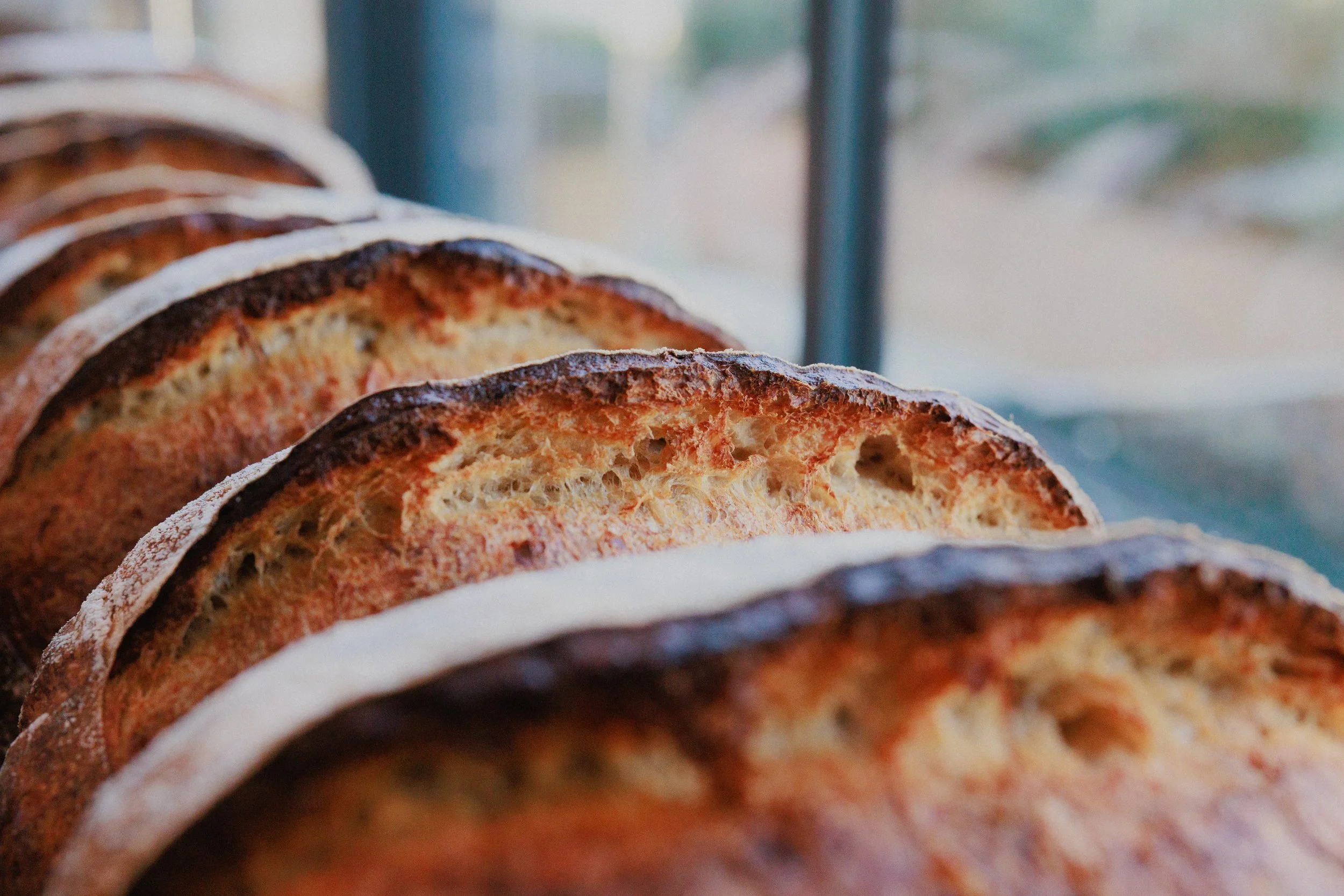 bread.jpeg