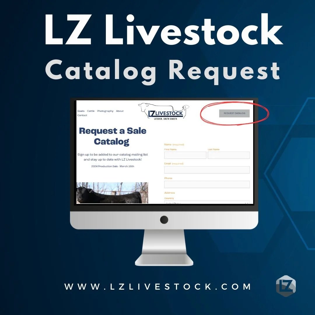 Join us on March 16, 2024, for the LZ Livestock 2nd annual production sale! 

Offering Angus + Sim-Angus Bulls and Heifers! 

This year's sale will be hosted online by The Livestock Link! 

Request catalog and learn more about LZ Livestock at: https: