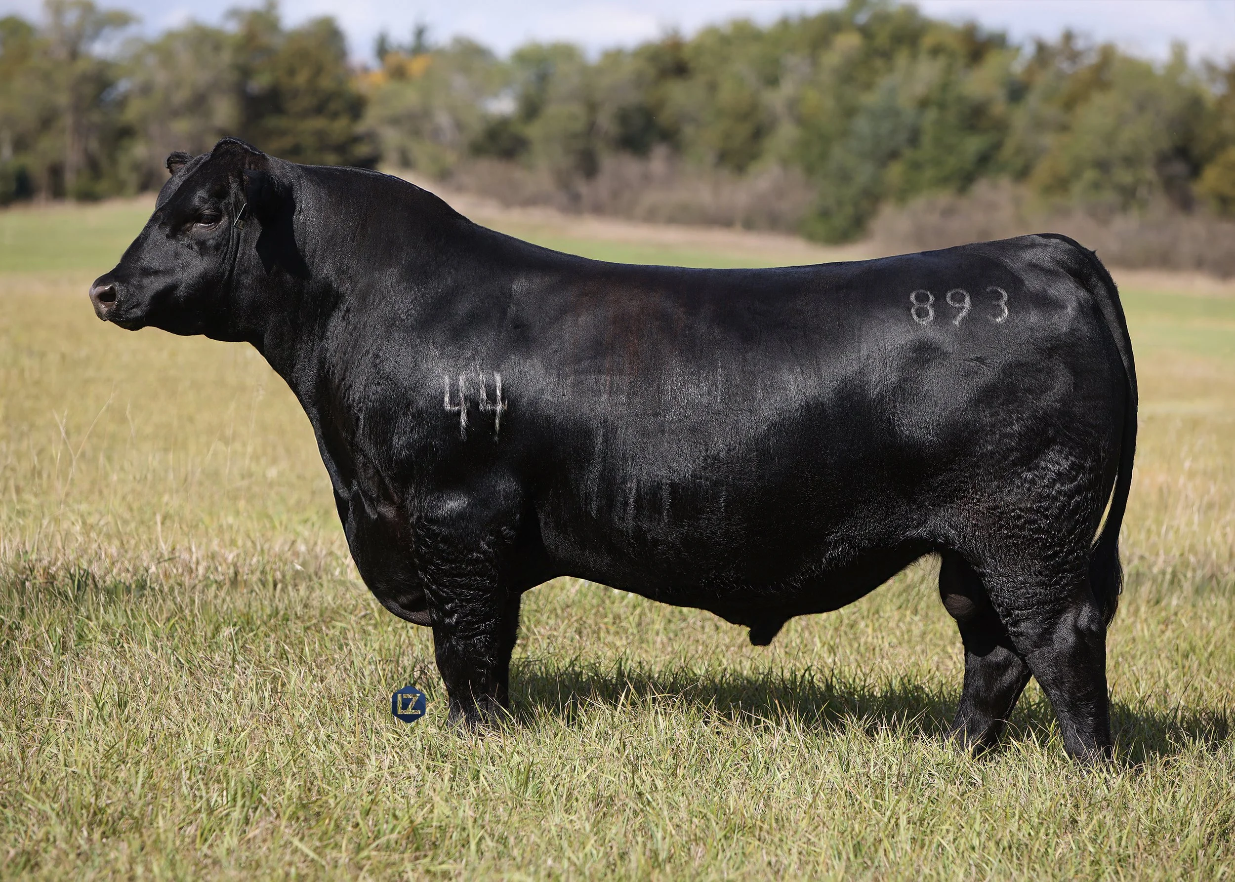 44 Crowning Glory-2.jpg