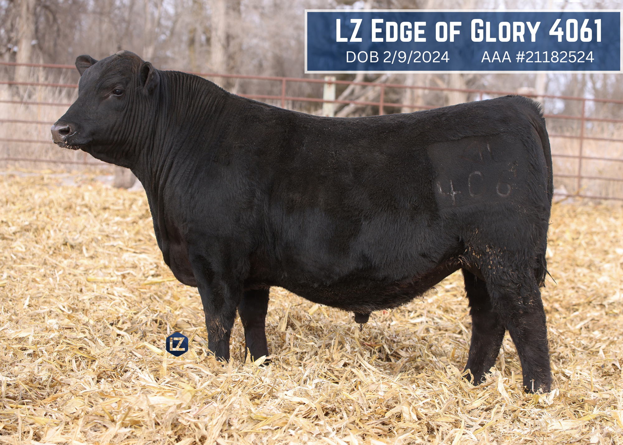 LZ Edge of Glory 4061.png