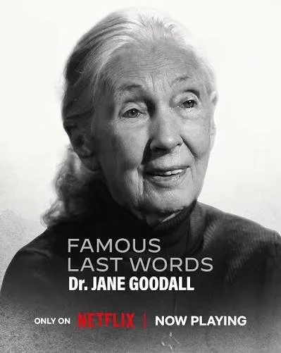 What Jane Goodall Reminded Me about Purpose & Health