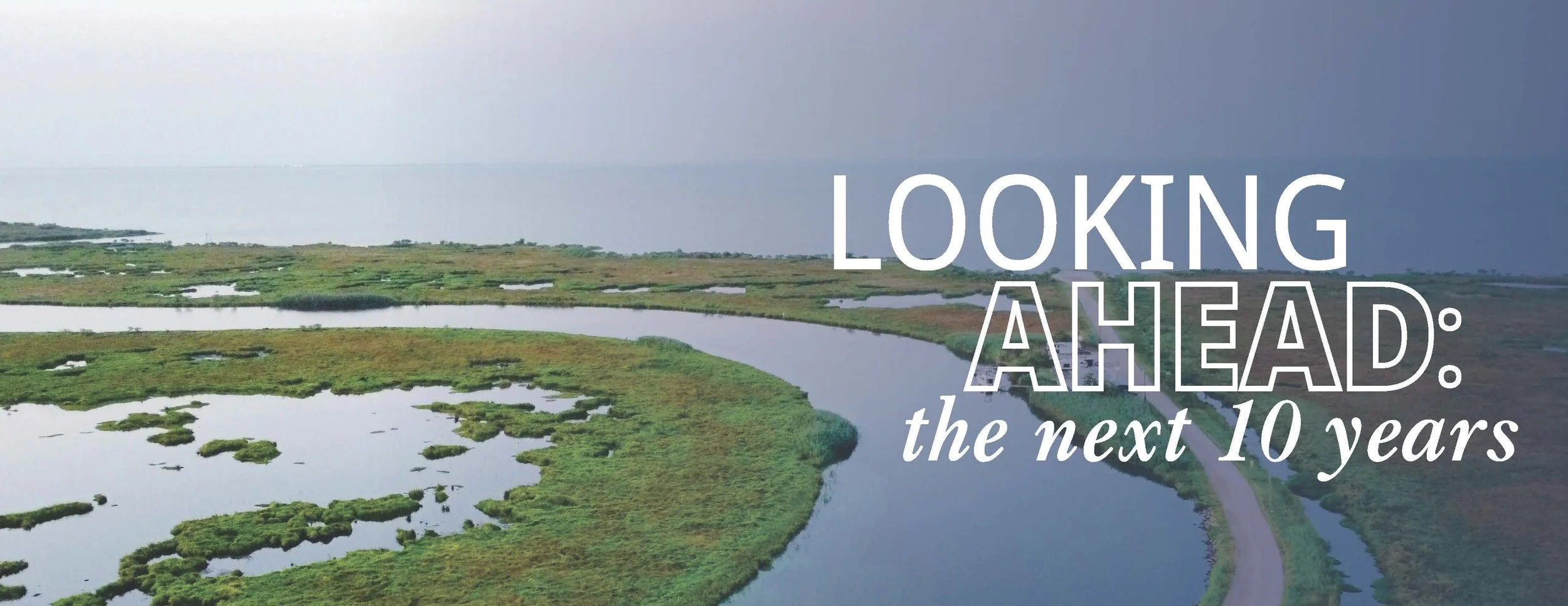 DFER for Print Spreads_Page_16.jpg