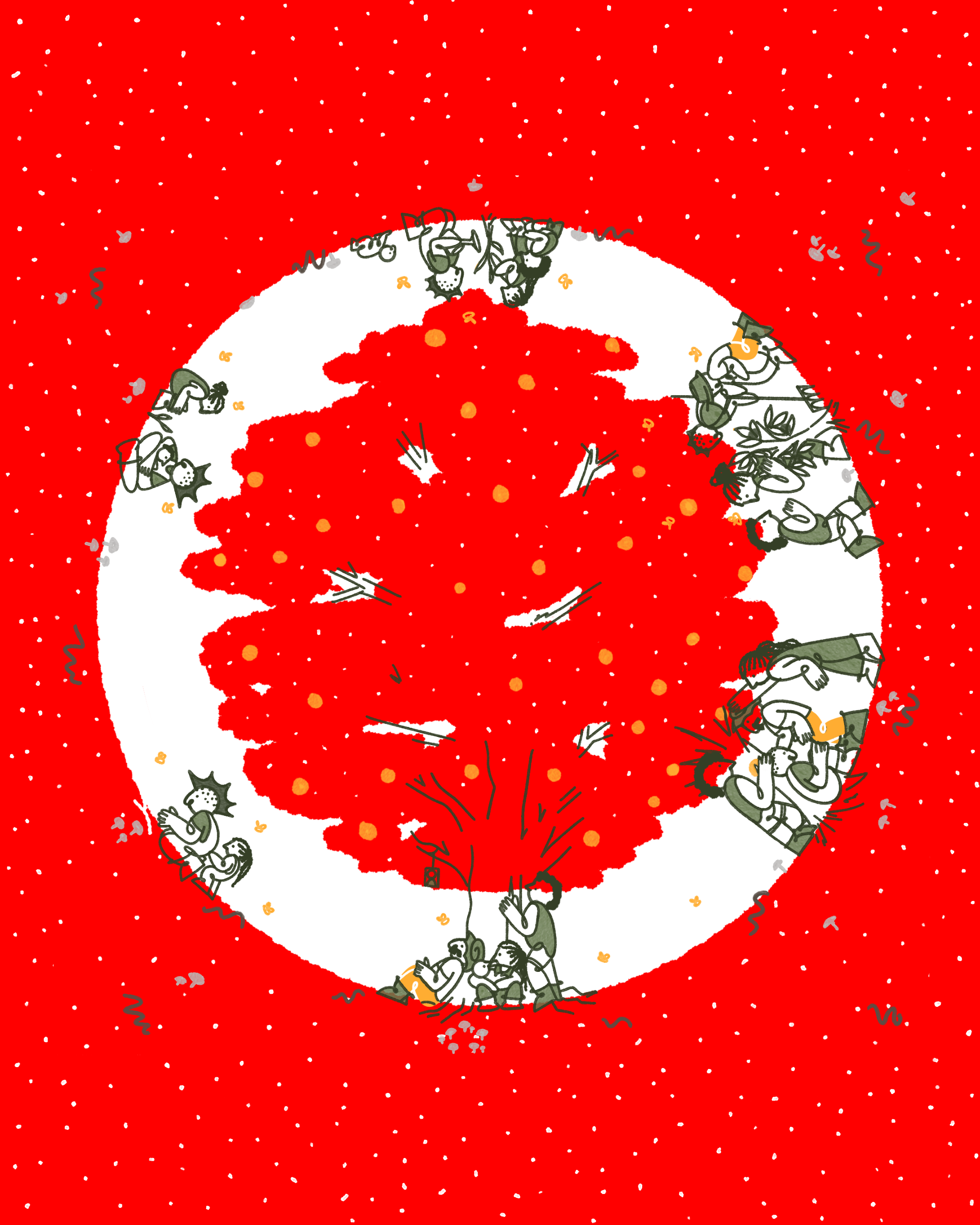 Boletín de invierno 2025