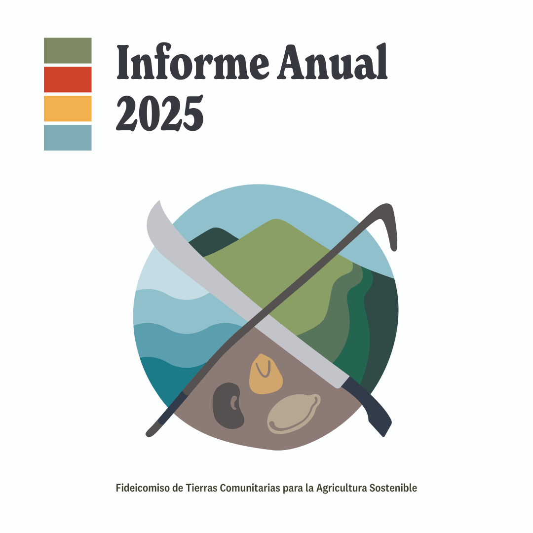 Informe Anual 2025